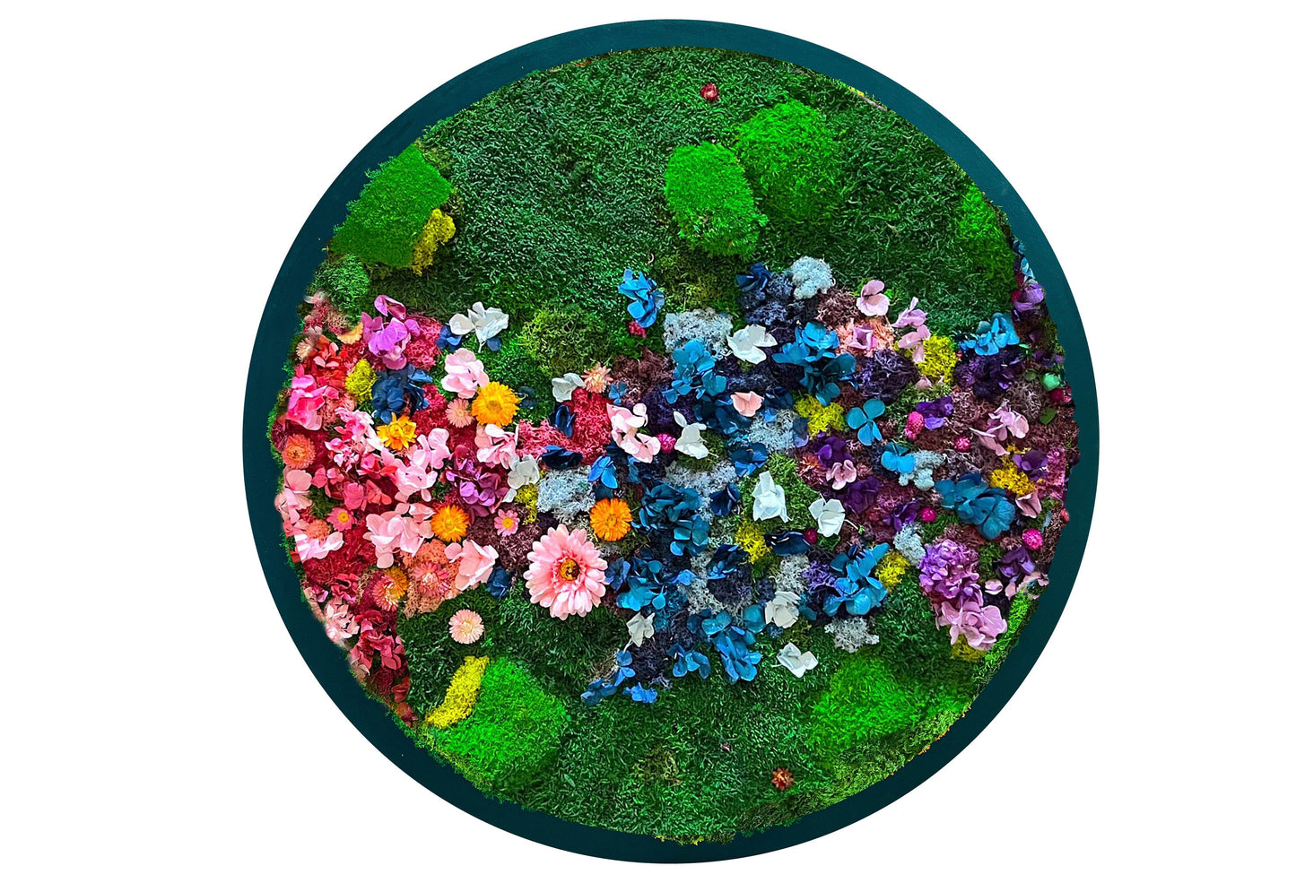 Circular Moss Wall Art, Botanical Art, Floral Moss Art, Round moss art, Rainbow Moss Wall, Wall Art Flower, Colourful Art, Colourful lichen mossartbyrishstudio