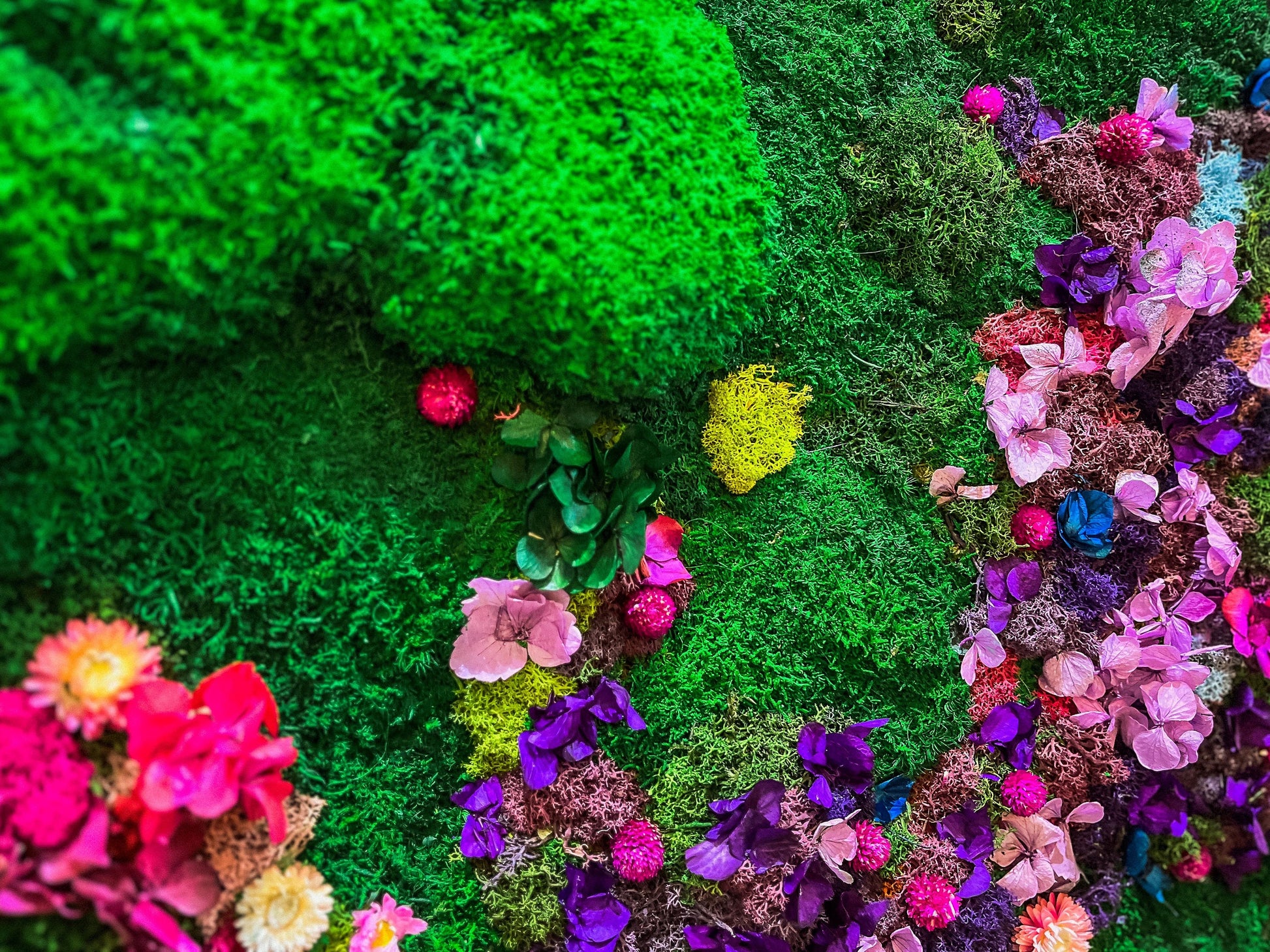 Circular Moss Wall Art, Botanical Art, Floral Moss Art, Round moss art, Rainbow Moss Wall, Wall Art Flower, Colourful Art, Colourful lichen mossartbyrishstudio