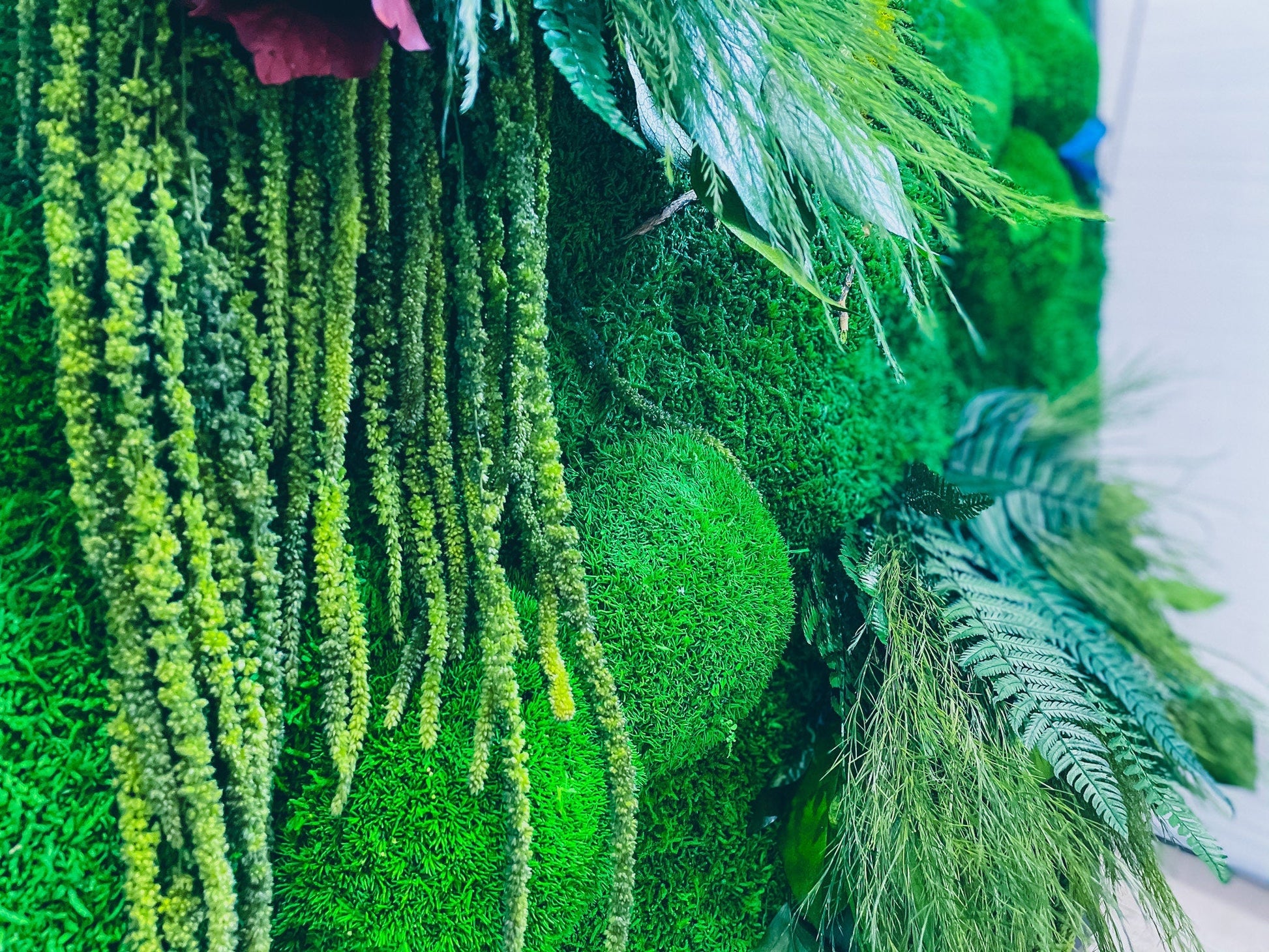 Set of 3 Moss wall art Frame |  Moss wall | Moss wall art 91 x 61 CM RishStudio