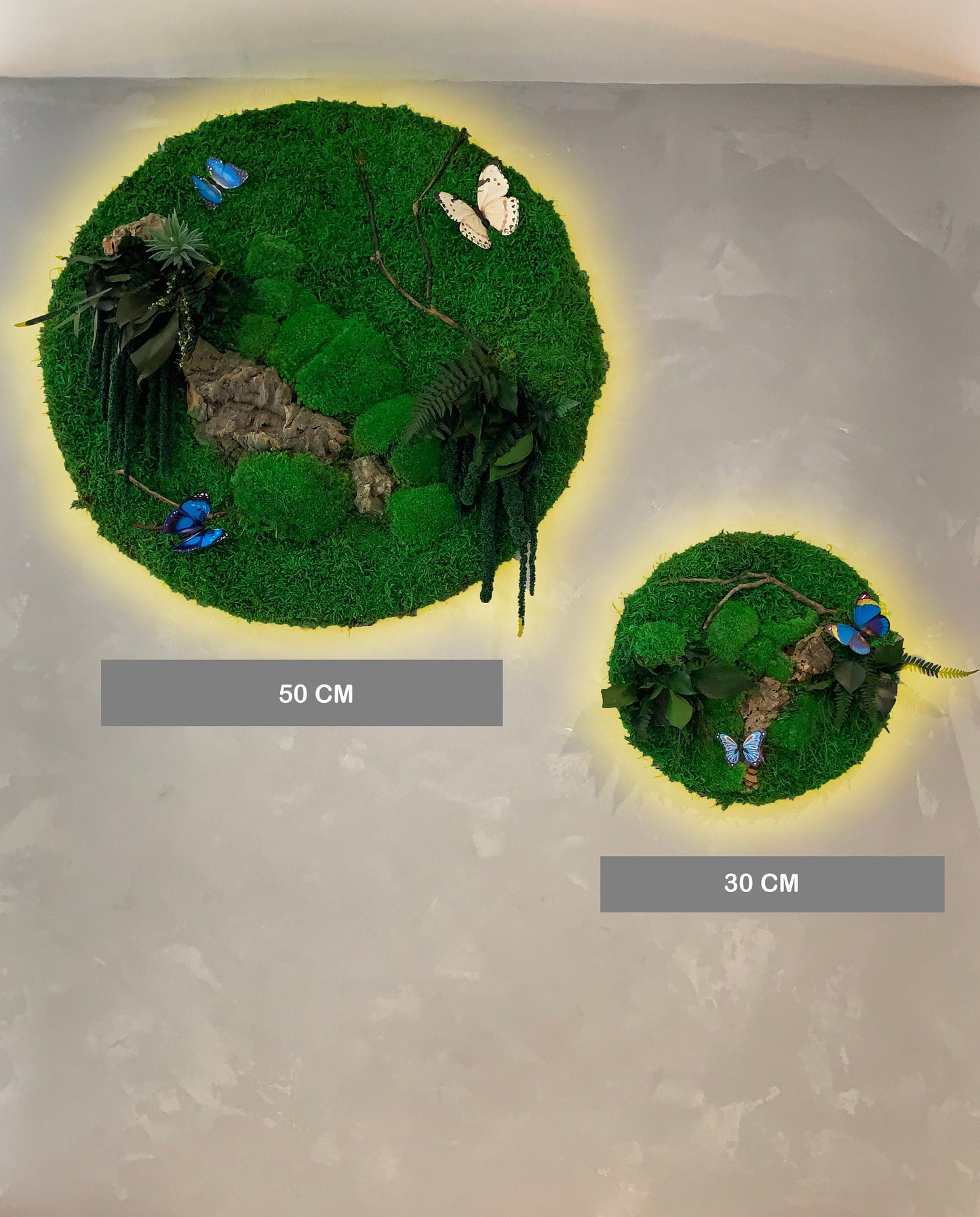 Indoor Moss Wall Art Framed | Circular Moss Wall Art with Neon Sign Light mossartbyrishstudio