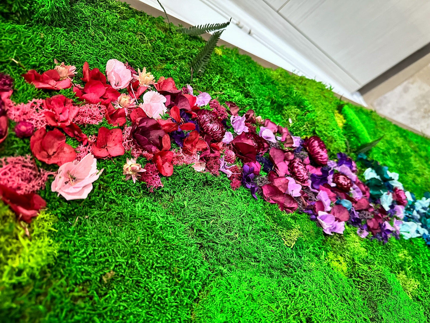 Rainbow Moss wall art with bun moss, colourful lichen and dried flowers mossartbyrishstudio