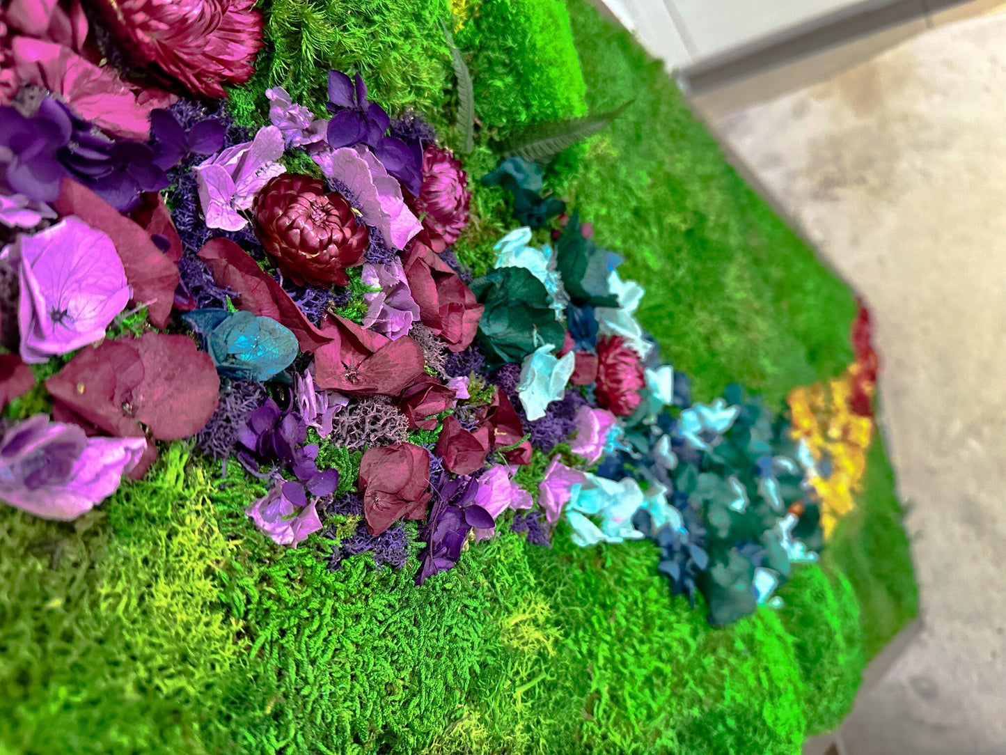 Rainbow Moss wall art with bun moss, colourful lichen and dried flowers mossartbyrishstudio