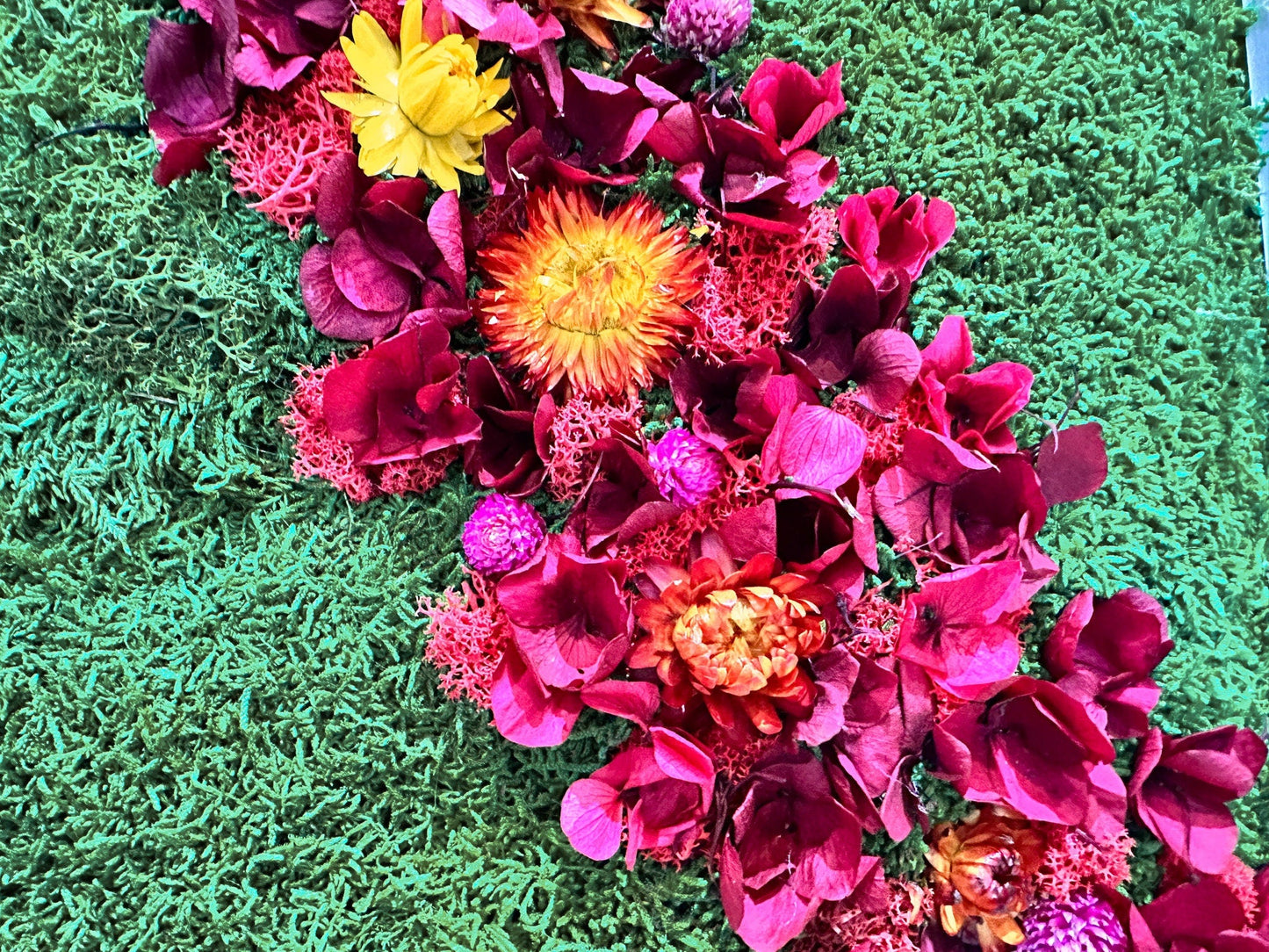 Rainbow Moss wall art with bun moss, colourful lichen and dried flowers mossartbyrishstudio