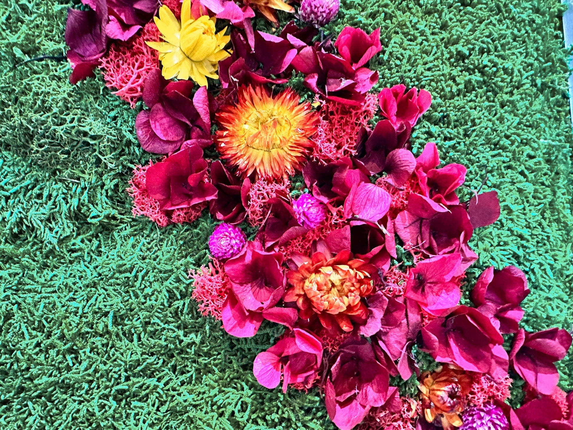 Rainbow Moss wall art with bun moss, colourful lichen and dried flowers mossartbyrishstudio