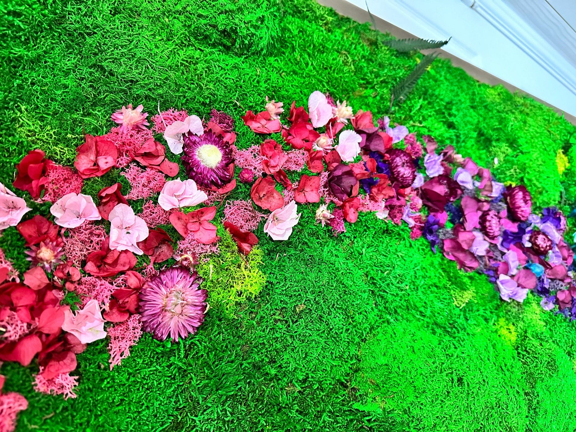 Rainbow Moss wall art with bun moss, colourful lichen and dried flowers mossartbyrishstudio