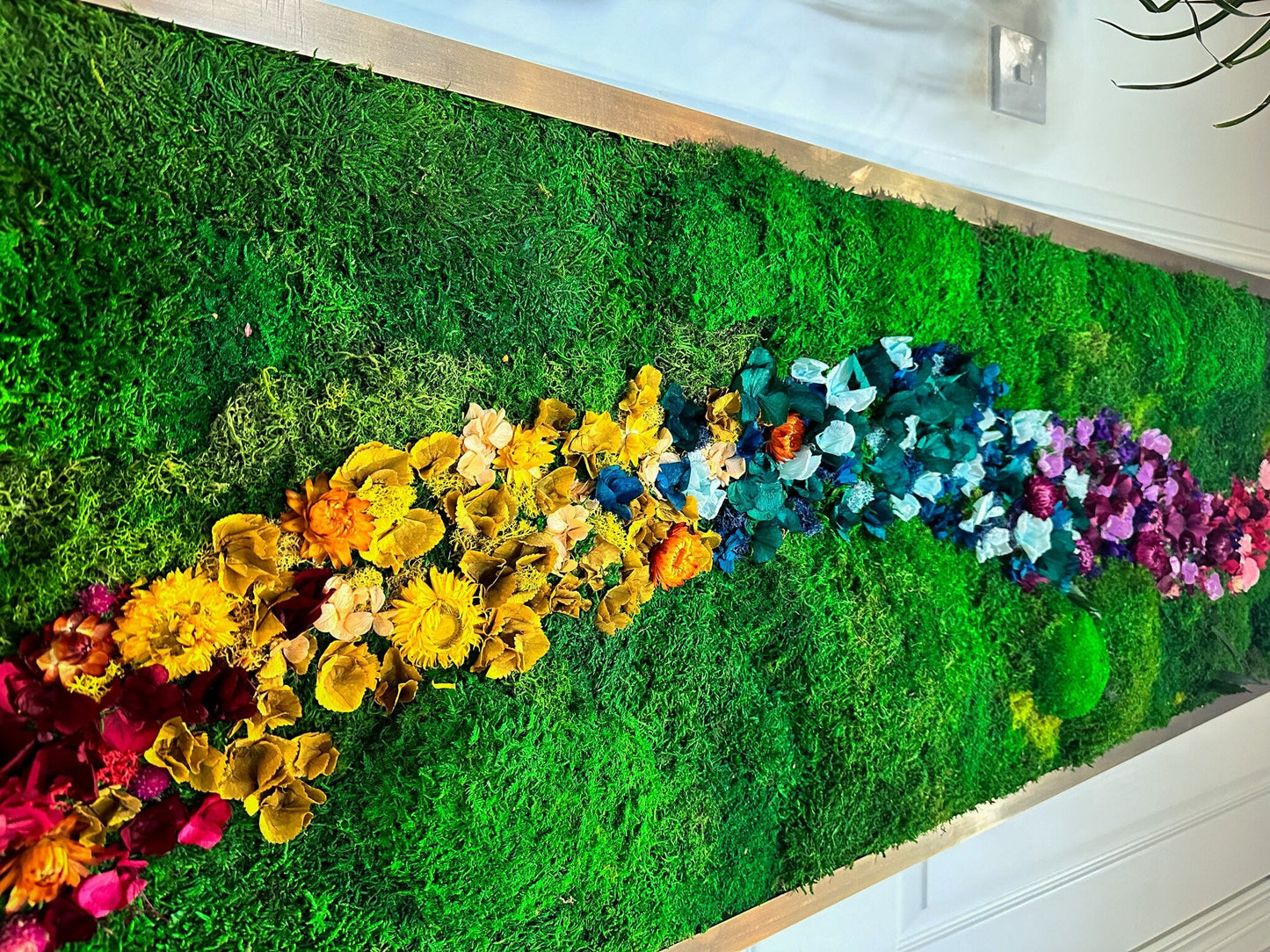 Rainbow Moss wall art with bun moss, colourful lichen and dried flowers mossartbyrishstudio