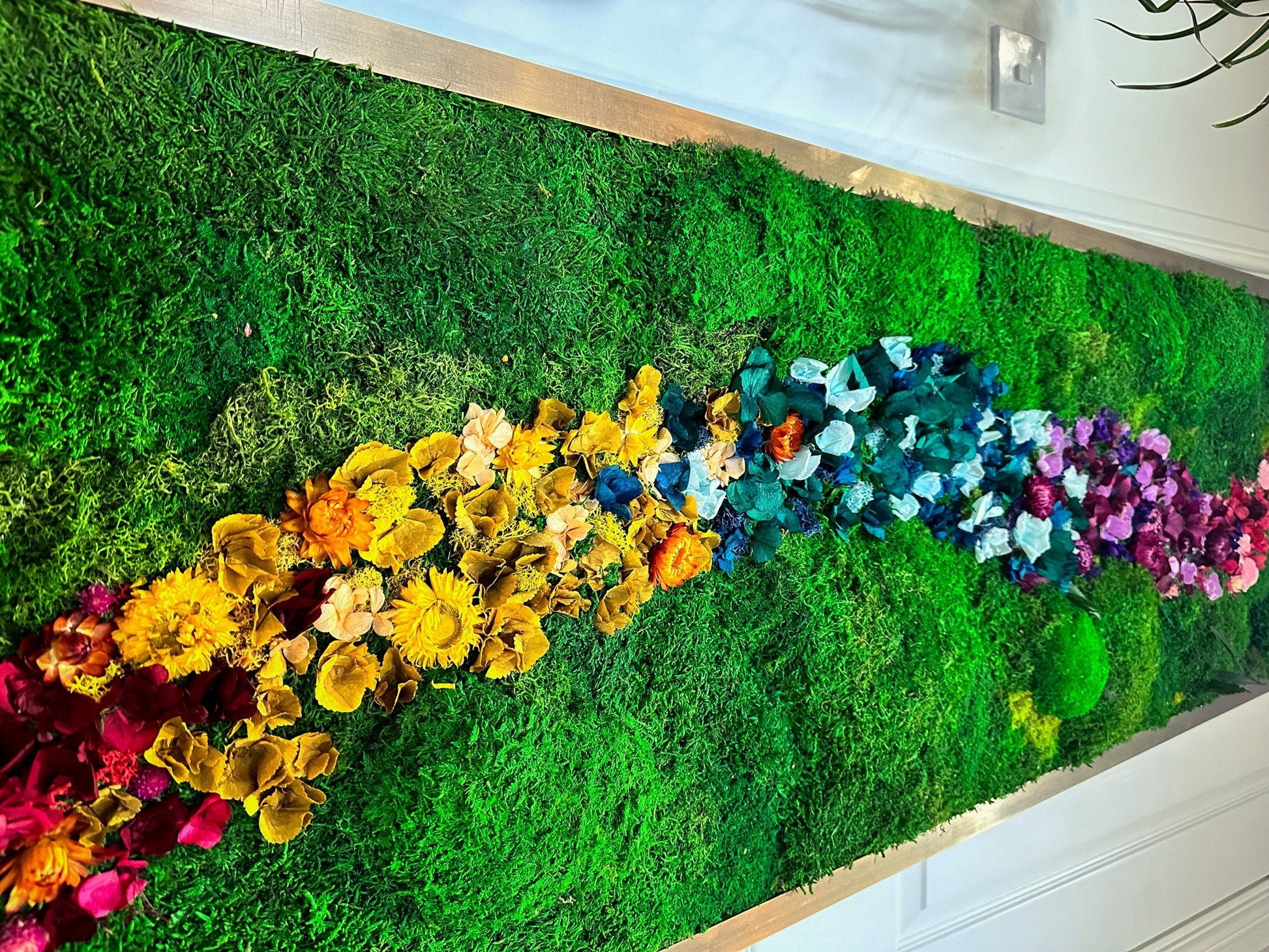 Rainbow Moss wall art with bun moss, colourful lichen and dried flowers mossartbyrishstudio