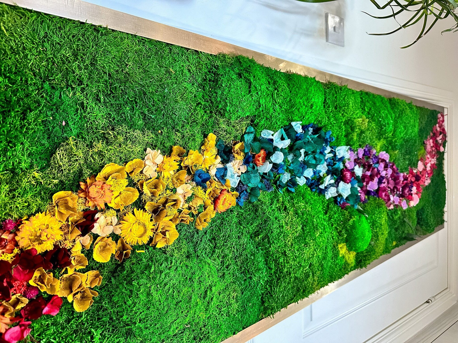 Rainbow Moss wall art with bun moss, colourful lichen and dried flowers mossartbyrishstudio