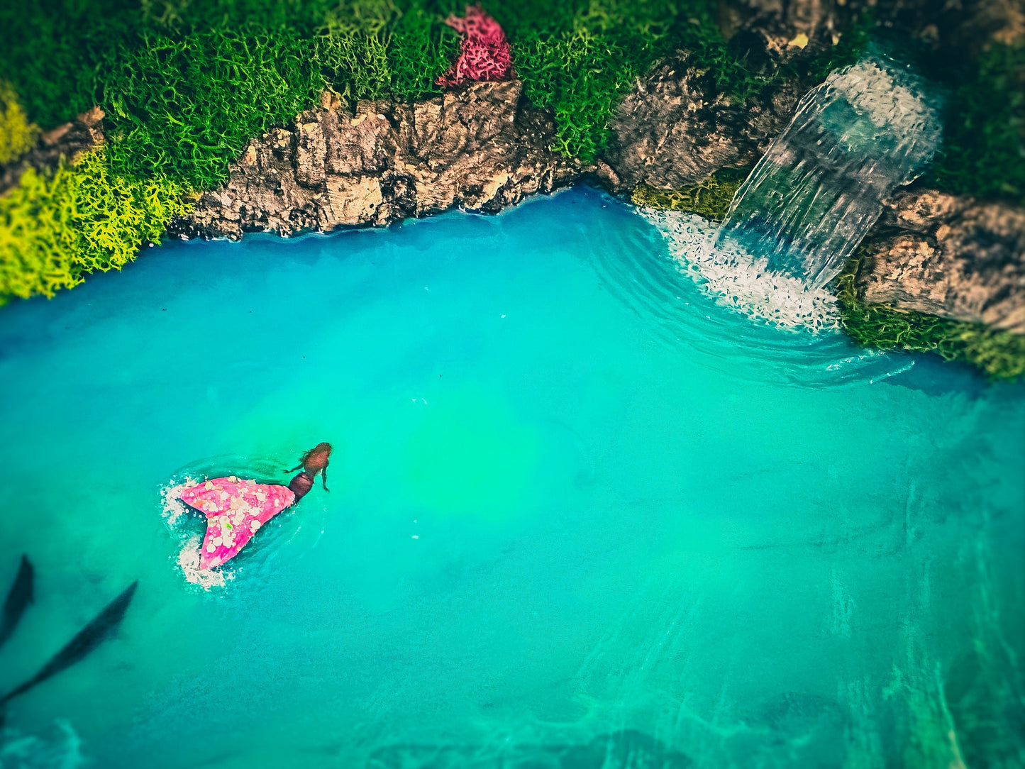 Custom Made Moss and Wood Wall Art | Rainbow Moss Wall Art mossartbyrishstudio