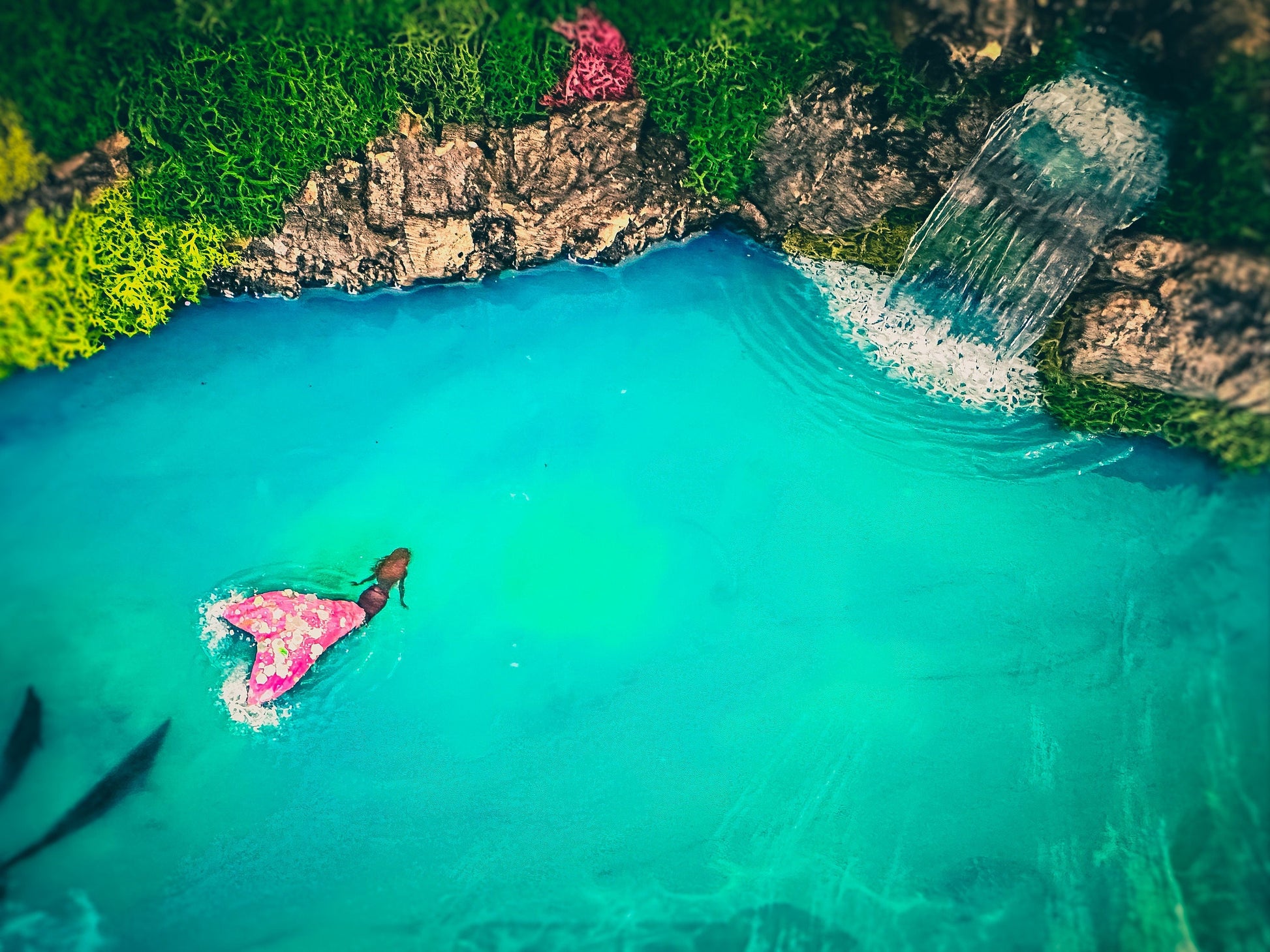 Custom Made Moss and Wood Wall Art | Rainbow Moss Wall Art mossartbyrishstudio