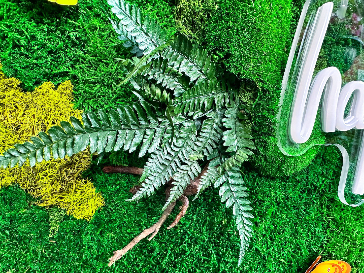 Moss wall art with Neon Lights | Living Moss Wall with Neon Sign mossartbyrishstudio