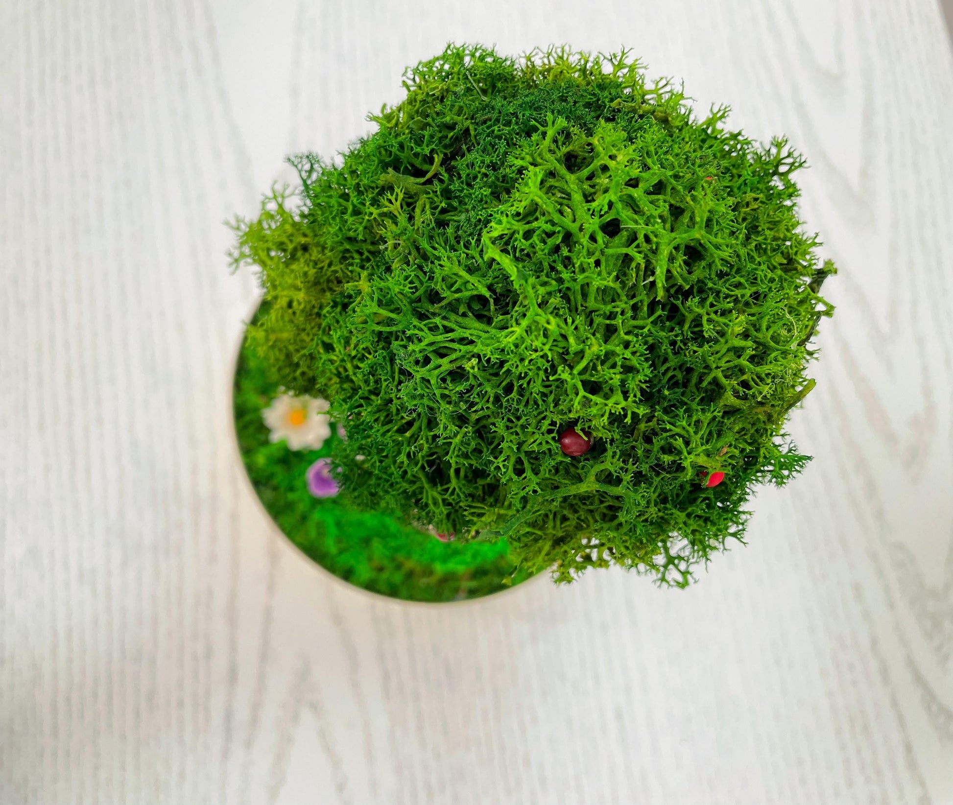 Rustic Table Lamp | Fairy Garden Table Light | Desk Lamp RishStudio