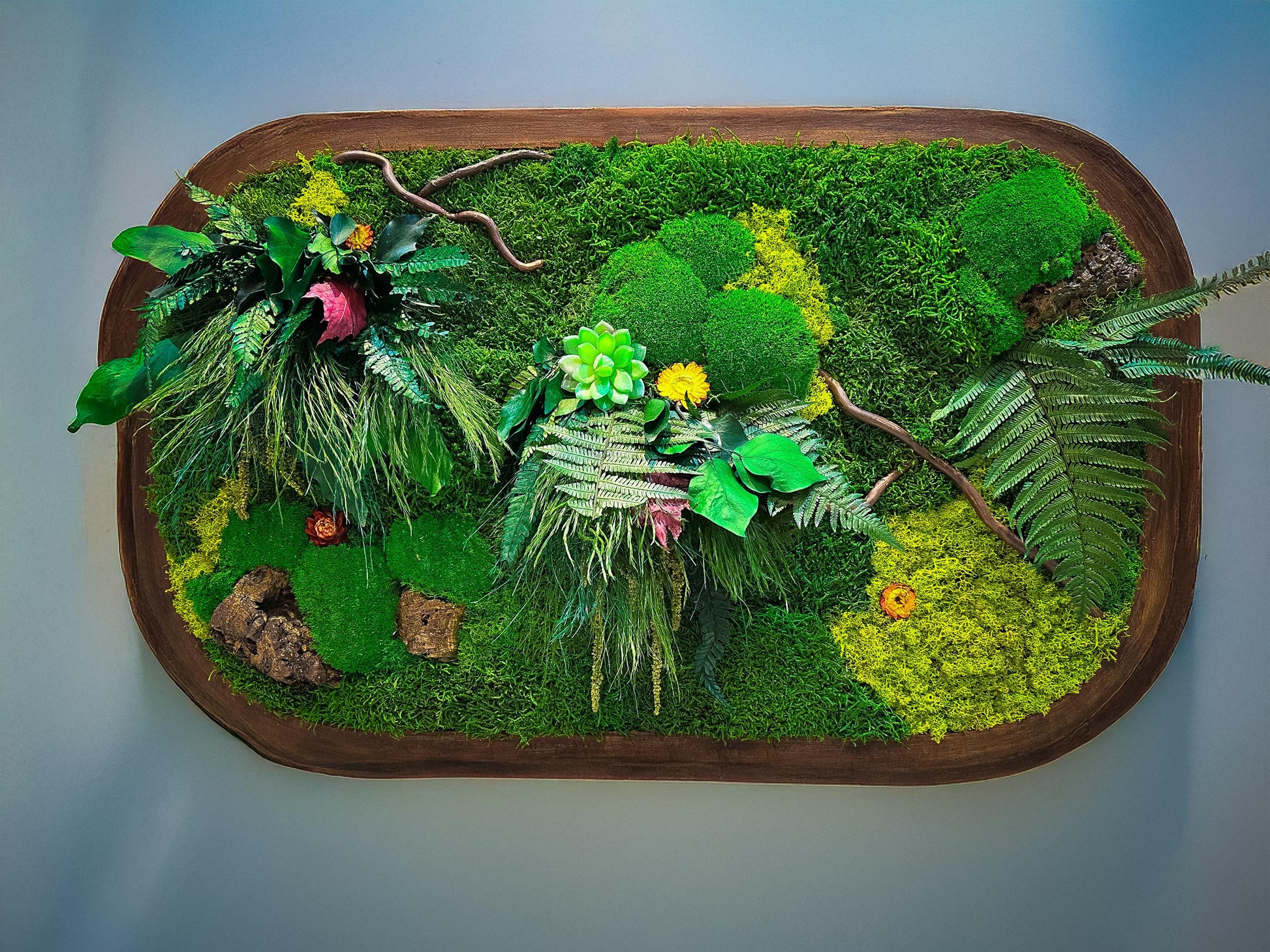 Oval Framed Preserved Moss Wall Art: Botanical Decor Walnut Irregular Frame, Natural Moss Painting mossartbyrishstudio