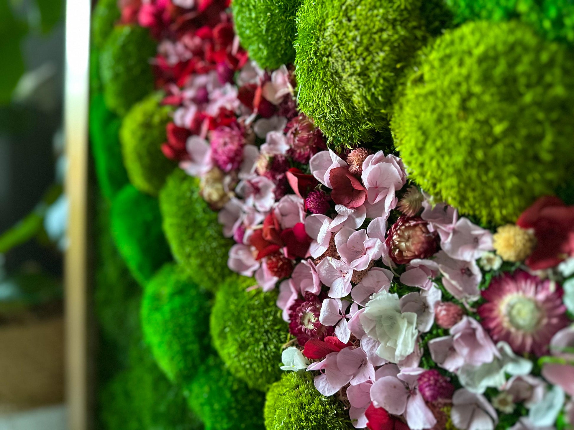 Preserved Moss Wall Art with LED Lights and Flowers: Wood Frame Colourful Natural Moss Painting, mossartbyrishstudio