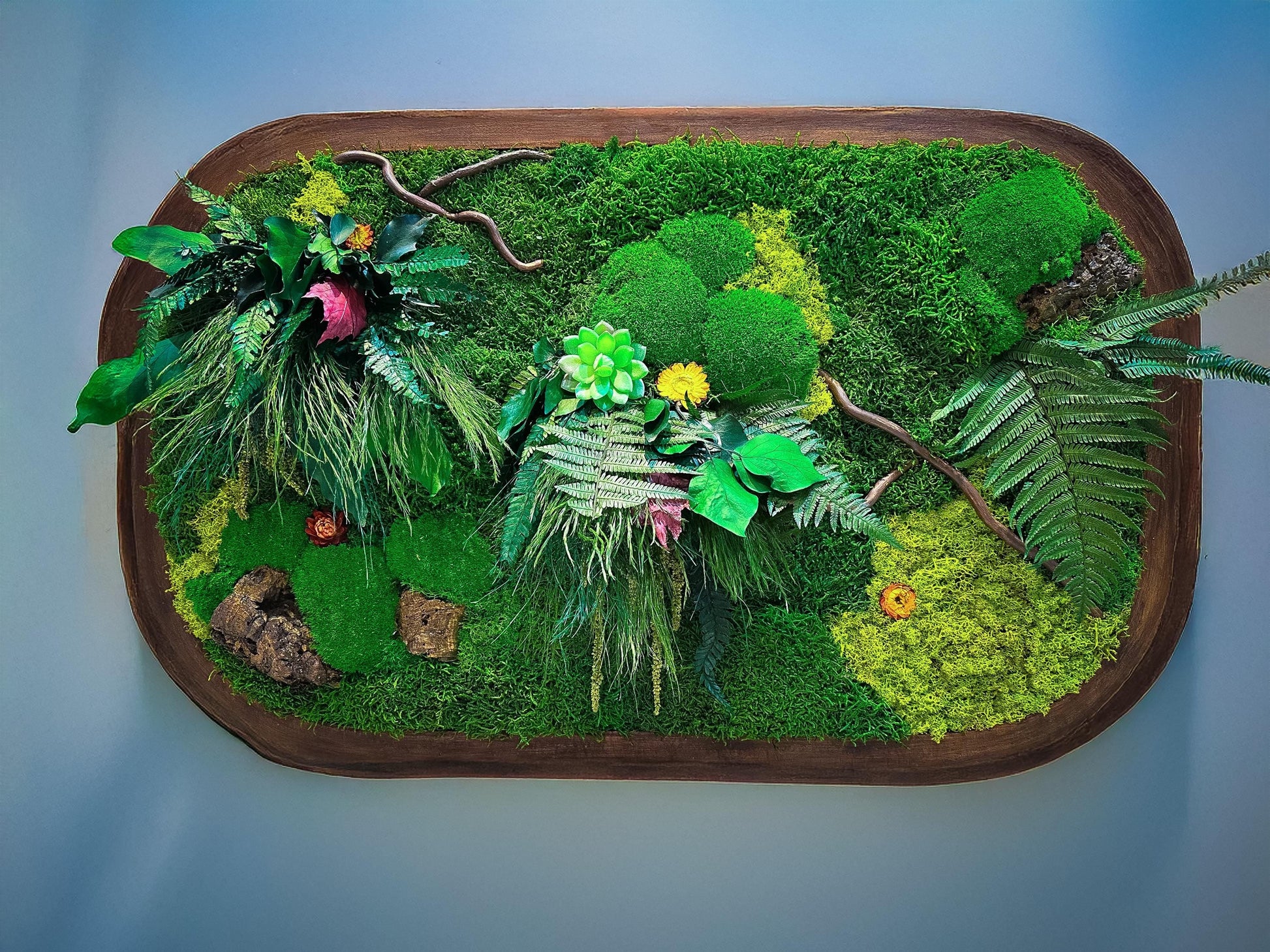 Oval Framed Preserved Moss Wall Art: Botanical Decor Walnut Irregular Frame, Natural Moss Painting mossartbyrishstudio