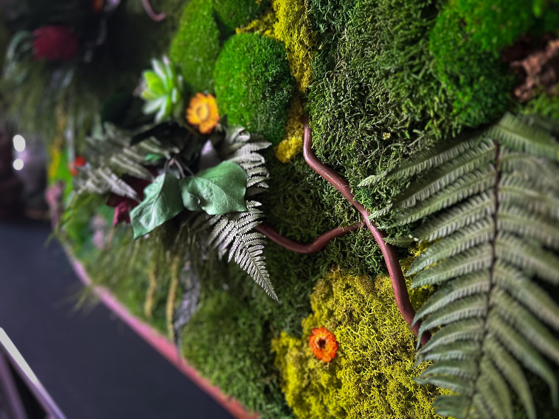 Oval Framed Preserved Moss Wall Art: Botanical Decor Walnut Irregular Frame, Natural Moss Painting mossartbyrishstudio