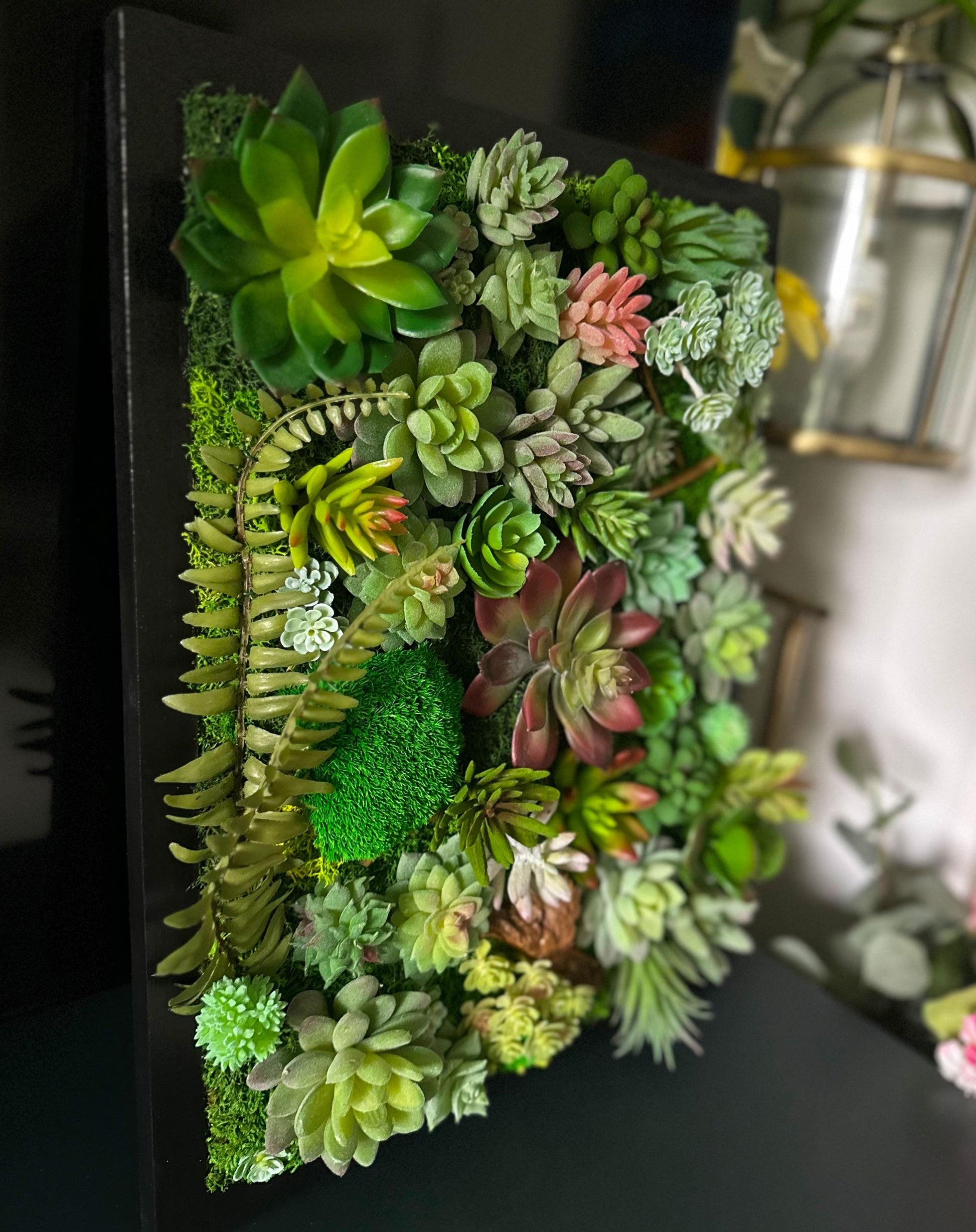 wall succulent decor Succulent wall art