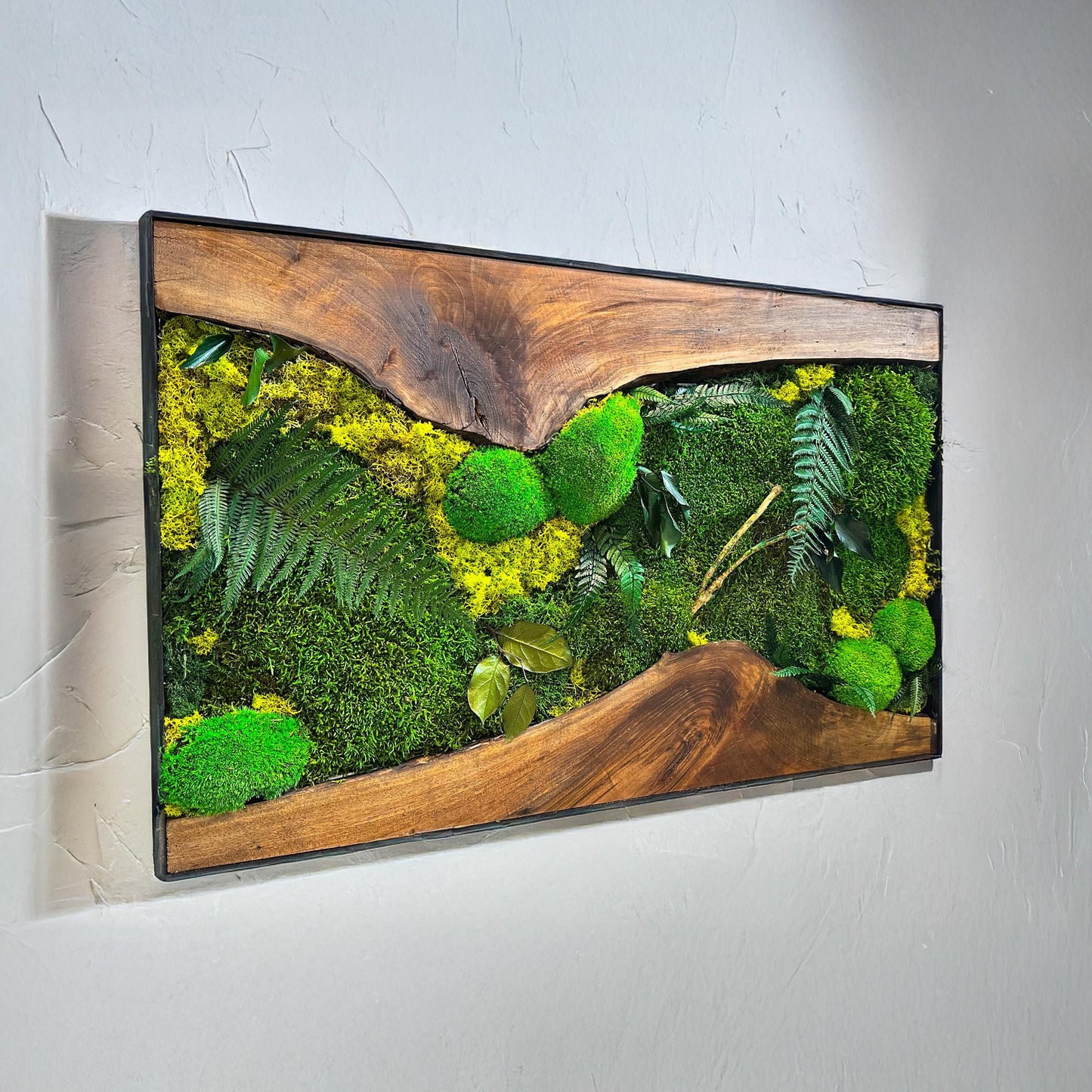 Moss Wall Art with LED Lights, Olive Wood and Preserved Moss Wall Decor, Handmade Biophilic Art, Preserved Stabilized Moss Living Wall Art mossartbyrishstudio