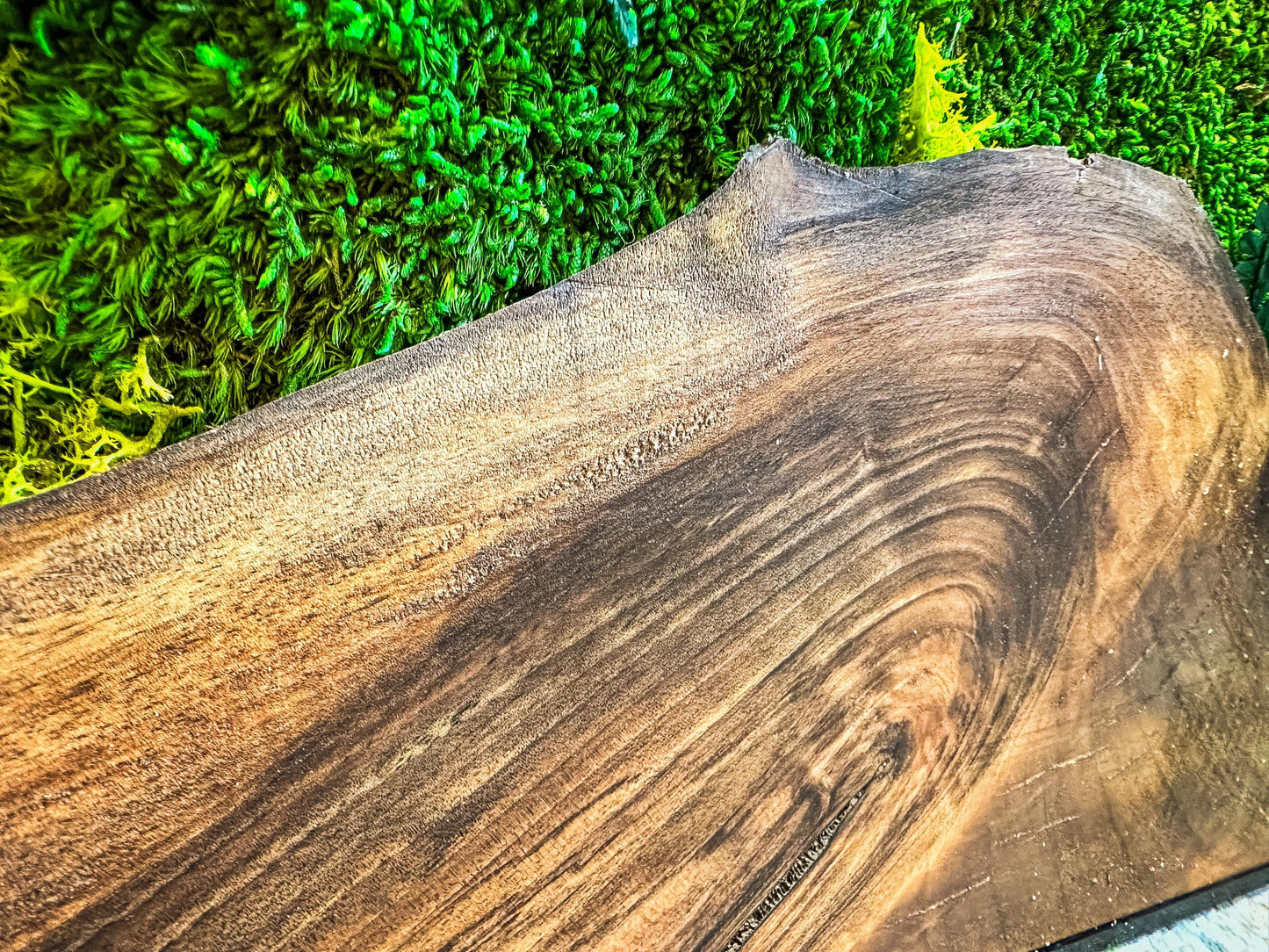 Moss Wall Art with LED Lights, Olive Wood and Preserved Moss Wall Decor, Handmade Biophilic Art, Preserved Stabilized Moss Living Wall Art mossartbyrishstudio