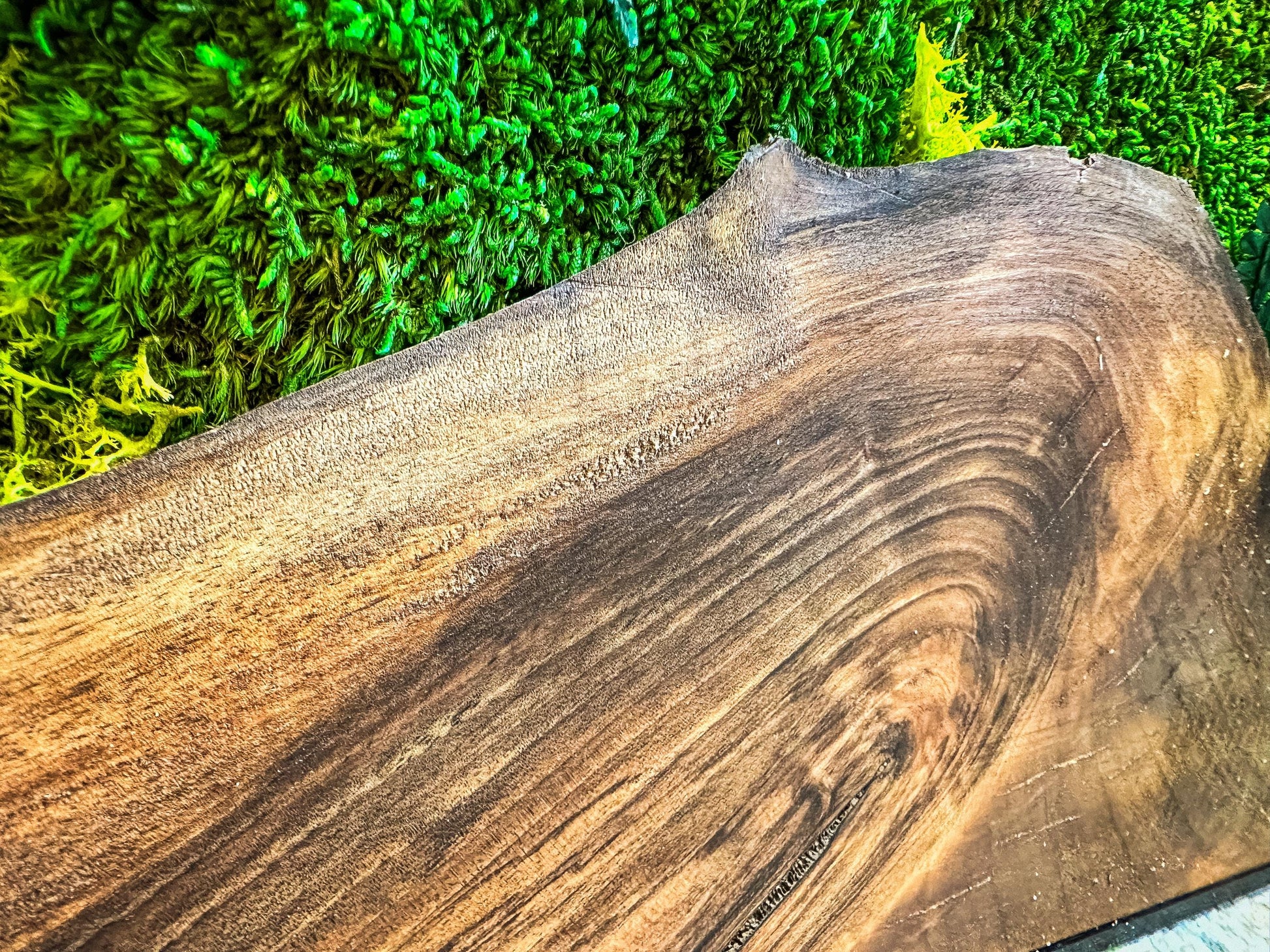 Moss Wall Art with LED Lights, Olive Wood and Preserved Moss Wall Decor, Handmade Biophilic Art, Preserved Stabilized Moss Living Wall Art mossartbyrishstudio