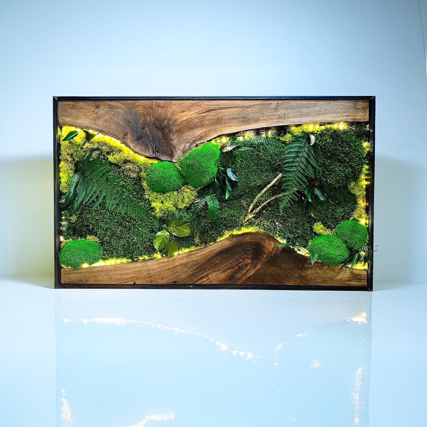 Moss Wall Art with LED Lights, Olive Wood and Preserved Moss Wall Decor, Handmade Biophilic Art, Preserved Stabilized Moss Living Wall Art mossartbyrishstudio
