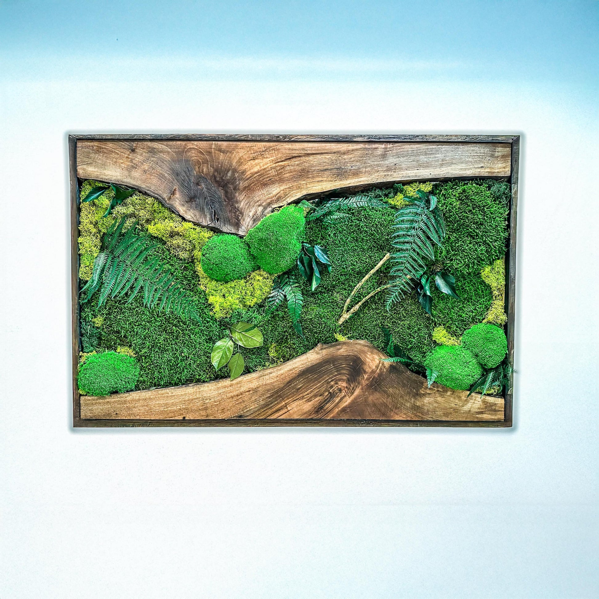 Moss Wall Art with LED Lights, Olive Wood and Preserved Moss Wall Decor, Handmade Biophilic Art, Preserved Stabilized Moss Living Wall Art mossartbyrishstudio