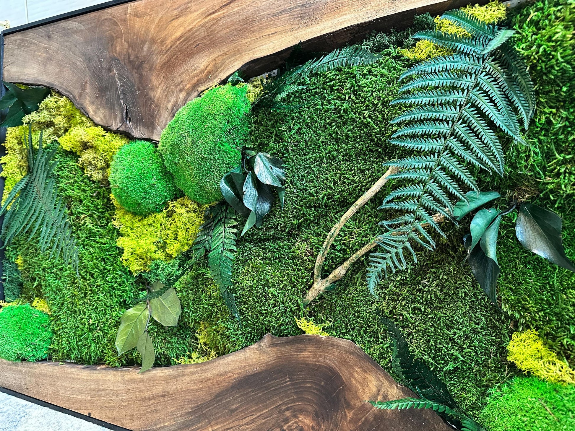 Moss Wall Art with LED Lights, Olive Wood and Preserved Moss Wall Decor, Handmade Biophilic Art, Preserved Stabilized Moss Living Wall Art mossartbyrishstudio