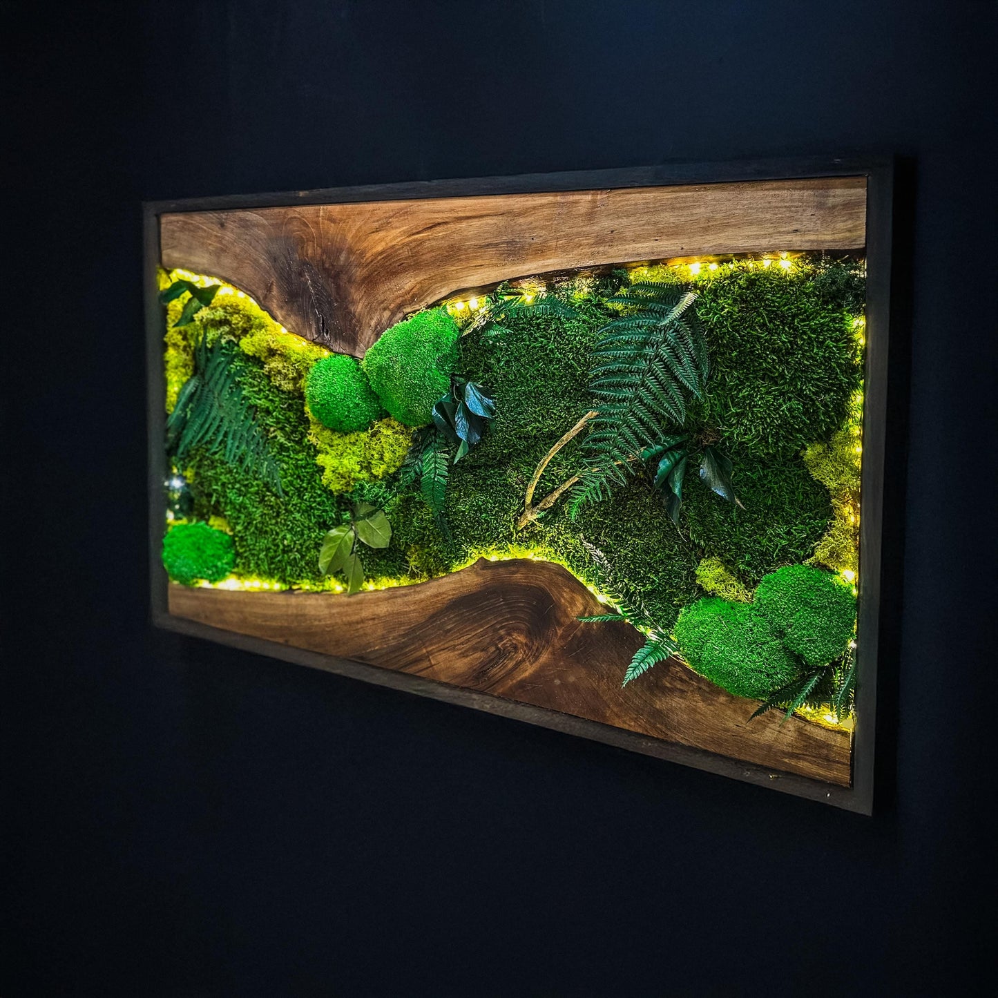 Moss Wall Art with LED Lights, Olive Wood and Preserved Moss Wall Decor, Handmade Biophilic Art, Preserved Stabilized Moss Living Wall Art mossartbyrishstudio