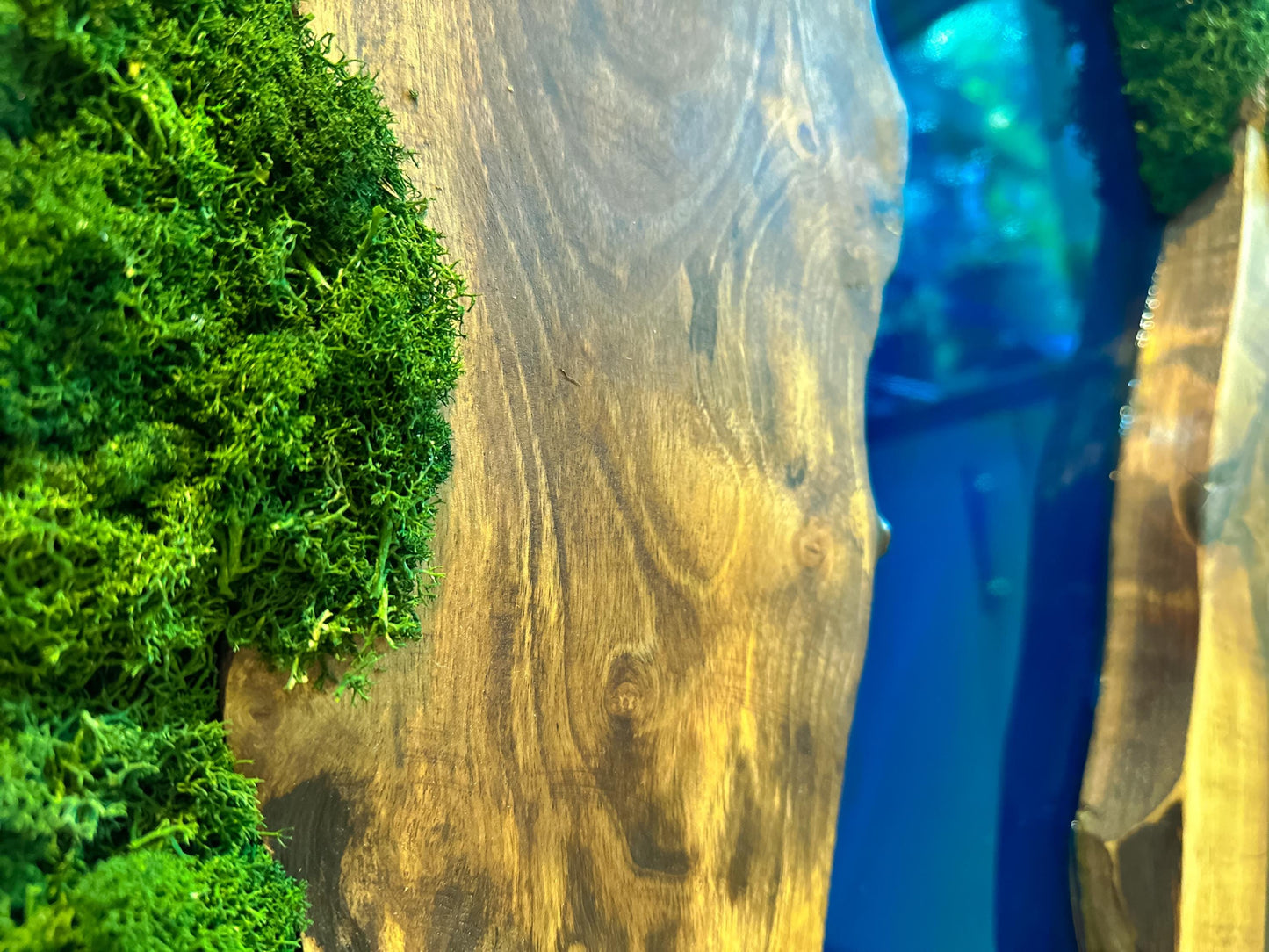 Moss and Wood Wall Art - Handmade Live Edge Olive Wood & Preserved Moss Wall River Design mossartbyrishstudio