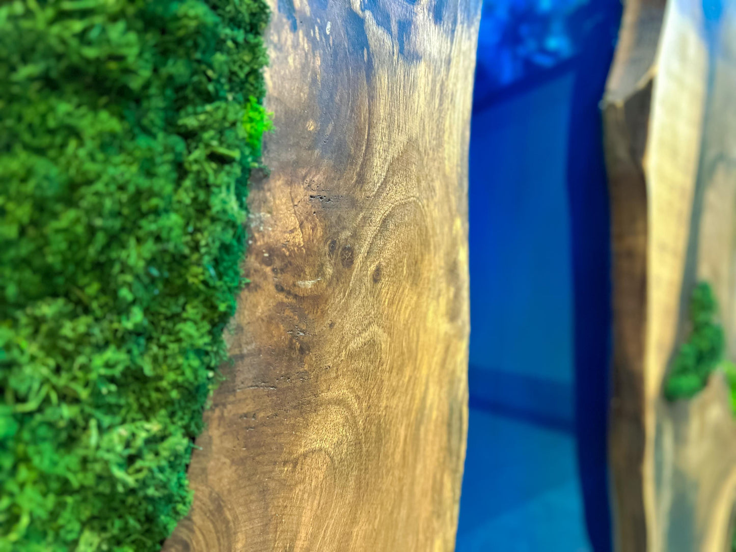 Moss and Wood Wall Art - Handmade Live Edge Olive Wood & Preserved Moss Wall River Design mossartbyrishstudio