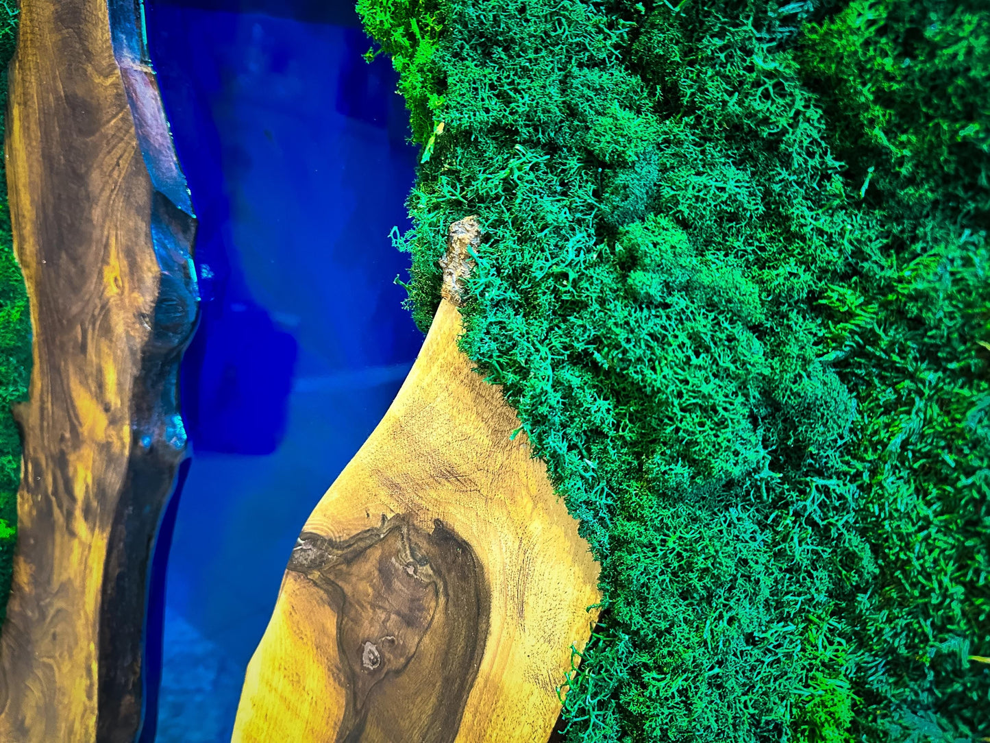 Moss and Wood Wall Art - Handmade Live Edge Olive Wood & Preserved Moss Wall River Design mossartbyrishstudio