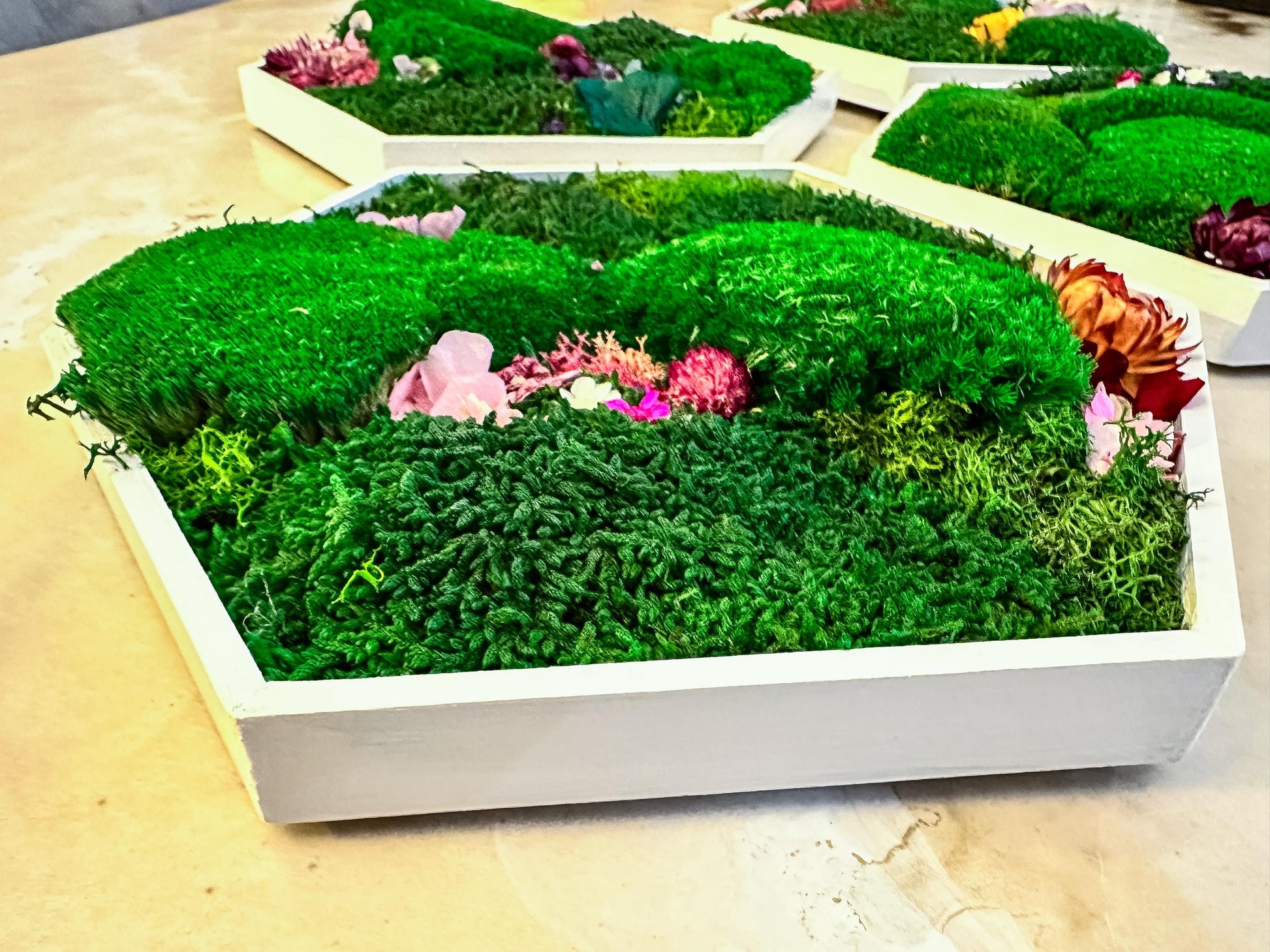 Hexagonal Moss Wall Art Set – Handmade Moss Decor with flowers & Preserved Greenery Panels for Home & Office mossartbyrishstudio