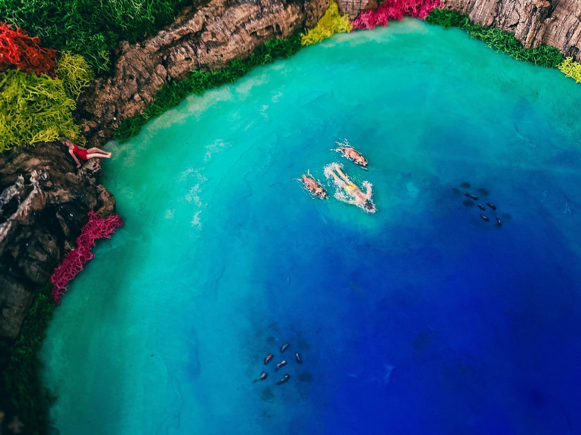 Large Moss Art, Preserved Moss Wall Art, Wooden Framed green Moss Wall Panel mossartbyrishstudio