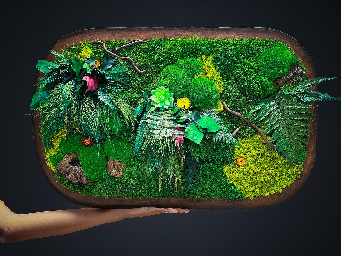 Oval Framed Preserved Moss Wall Art: Botanical Decor Walnut Irregular Frame, Natural Moss Painting mossartbyrishstudio