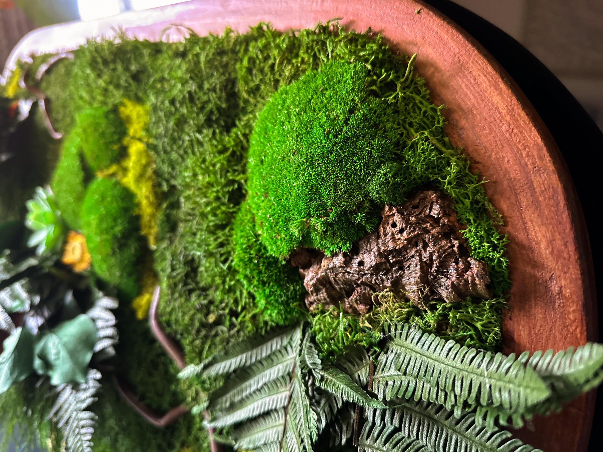 Oval Framed Preserved Moss Wall Art: Botanical Decor Walnut Irregular Frame, Natural Moss Painting mossartbyrishstudio