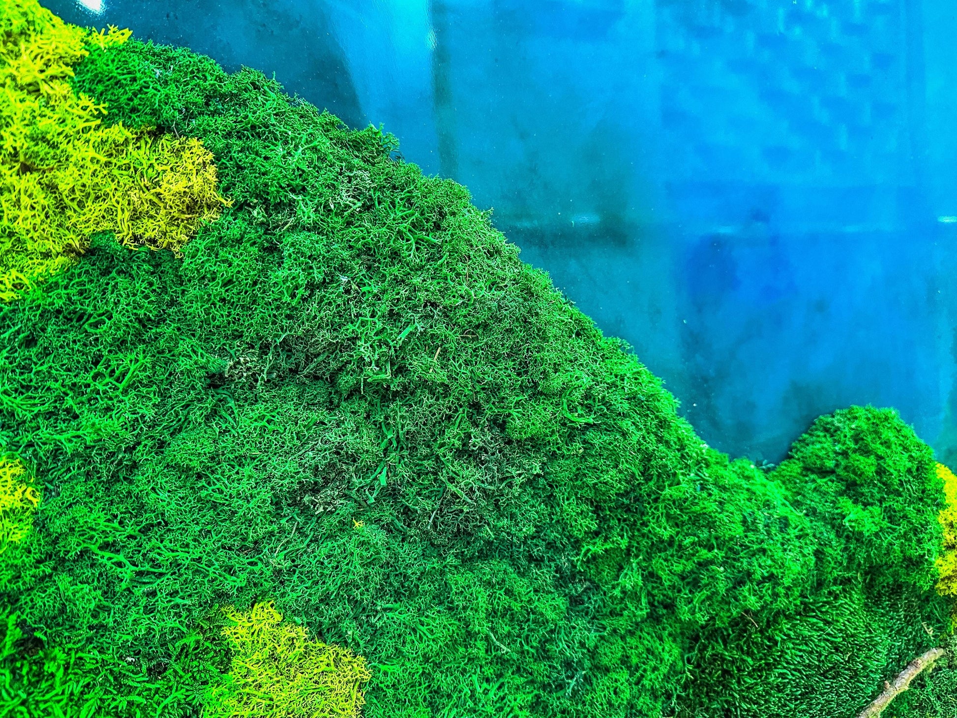 LED Moss Wall Art: Resin River, Preserved Moss Art With Nature Moss, Resin Art Wall Decor, Ocean Wall Art, Koi Pond, mossartbyrishstudio