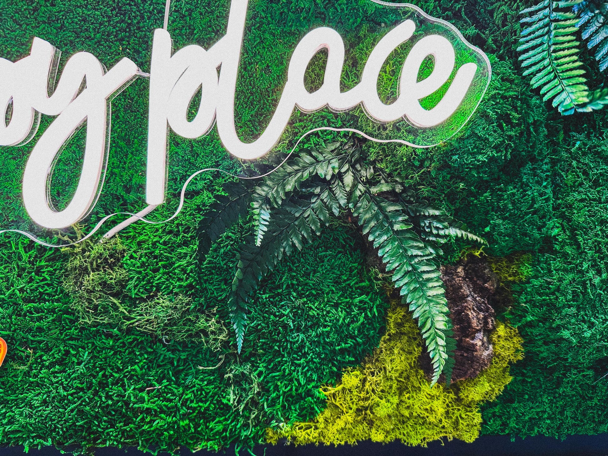 Moss wall art with Neon Lights | Living Moss Wall with Neon Sign mossartbyrishstudio