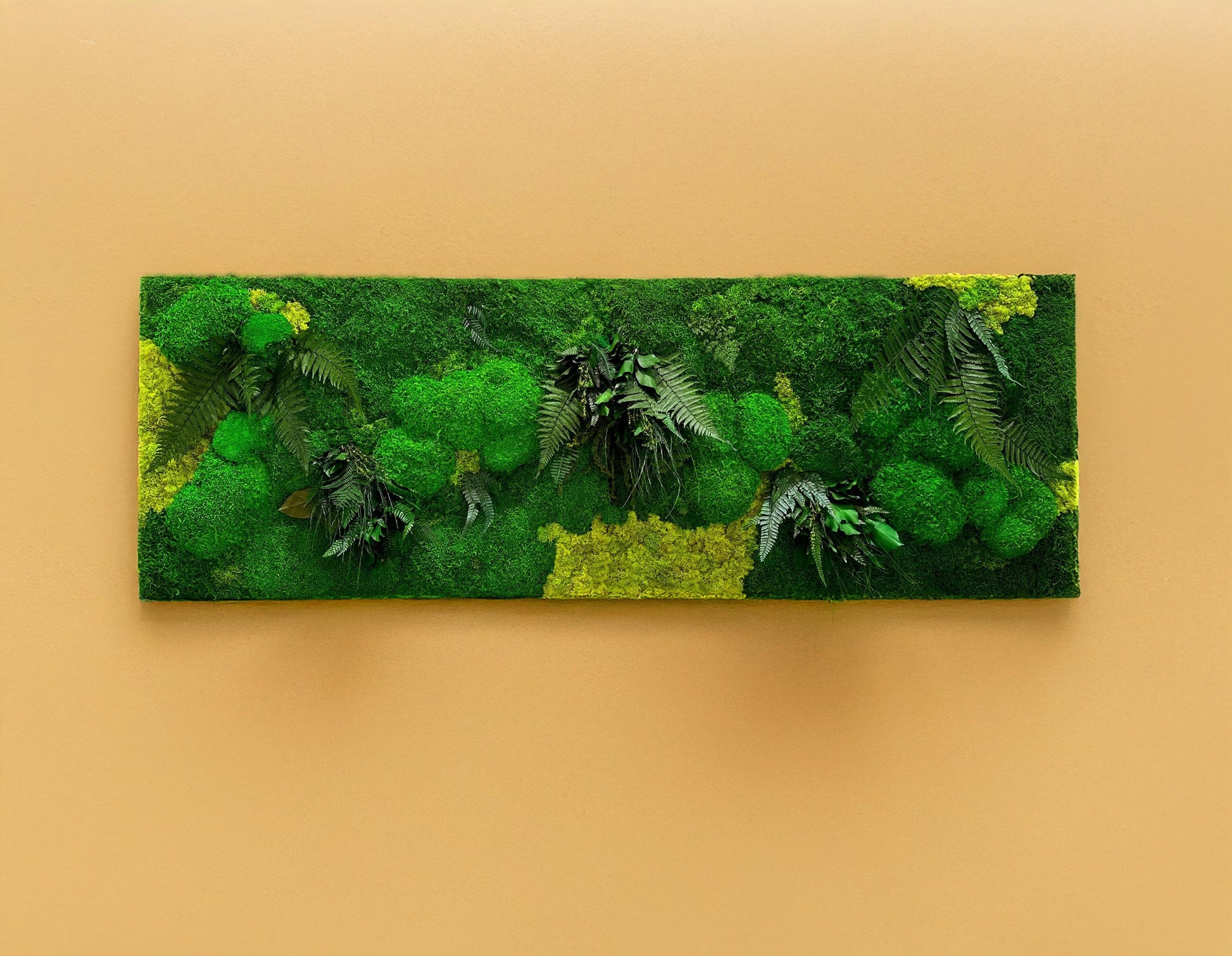 Custom Moss Wall Art – Lush Greenery with Butterfly Accents for Home Décor RishStudio