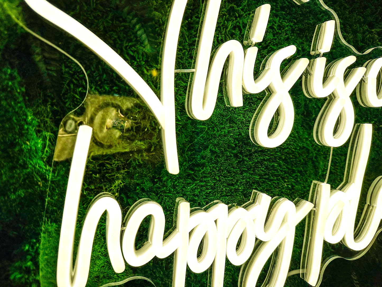 Moss wall art with Neon Lights | Living Moss Wall with Neon Sign mossartbyrishstudio