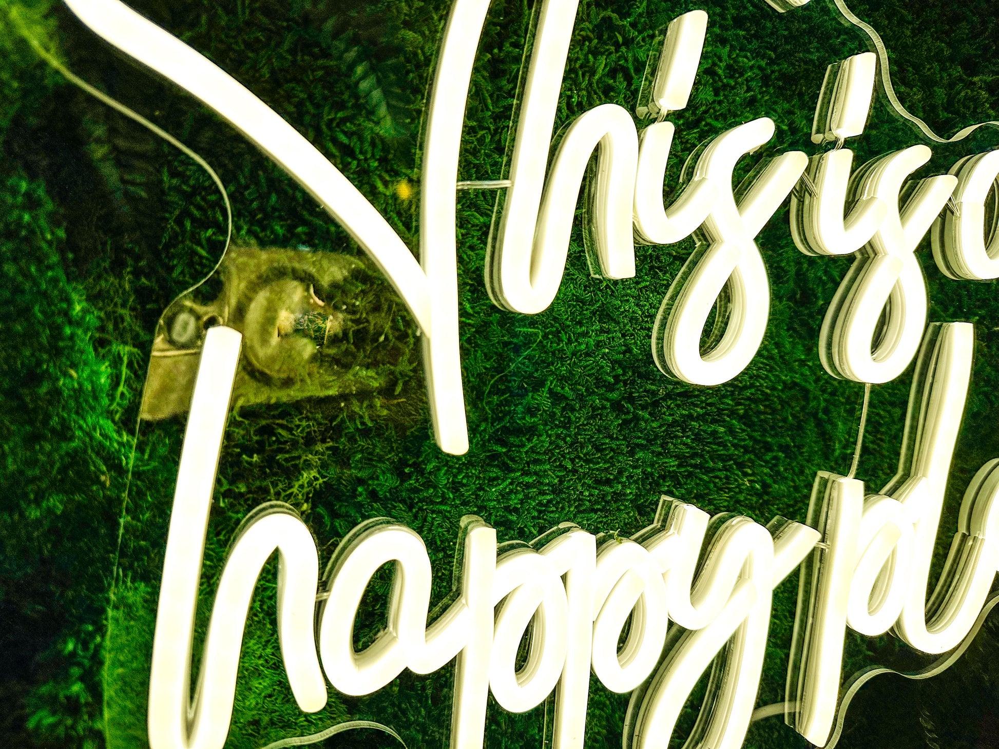 Moss wall art with Neon Lights | Living Moss Wall with Neon Sign mossartbyrishstudio