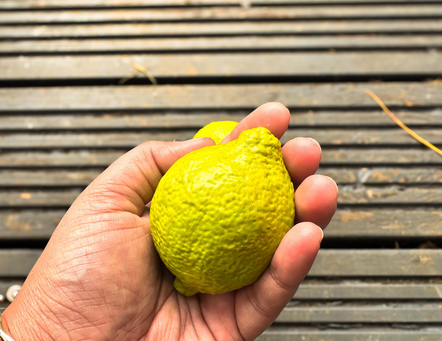 Lemon Ceramic Drawer Knob | Handcrafted Citrus Kitchen Cabinet Pull mossartbyrishstudio