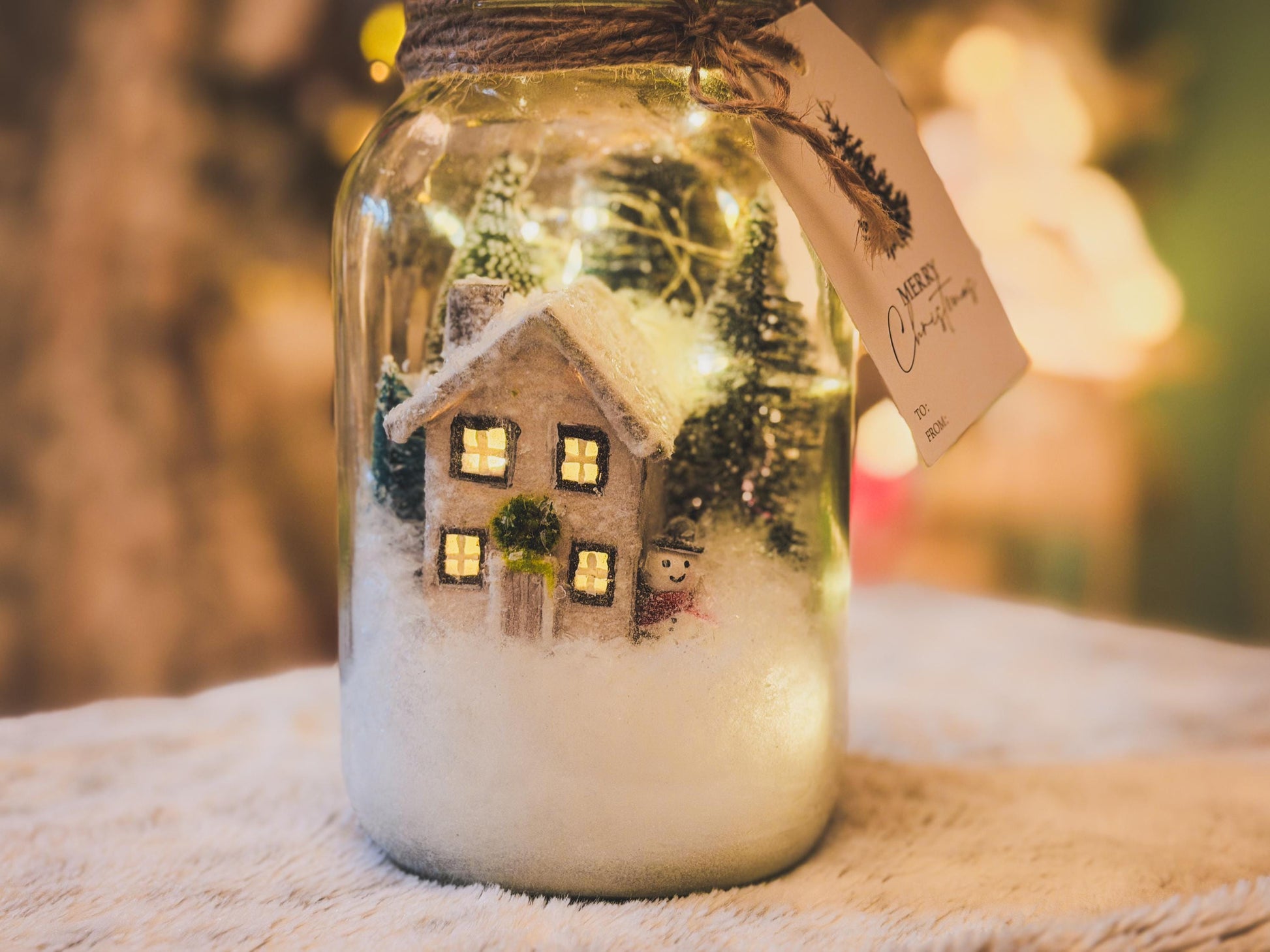 Christmas Mason Jar Light: Winter Wonderland Fairy Lights Christmas Gifts mossartbyrishstudio