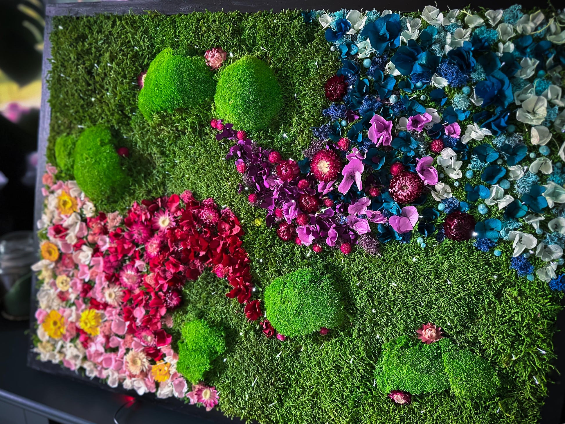rainbow moss hanging plant Rainbow Moss Wall Art with LED Lights, Handmade Moss Artwork, Colorful – mossartbyrishstudio