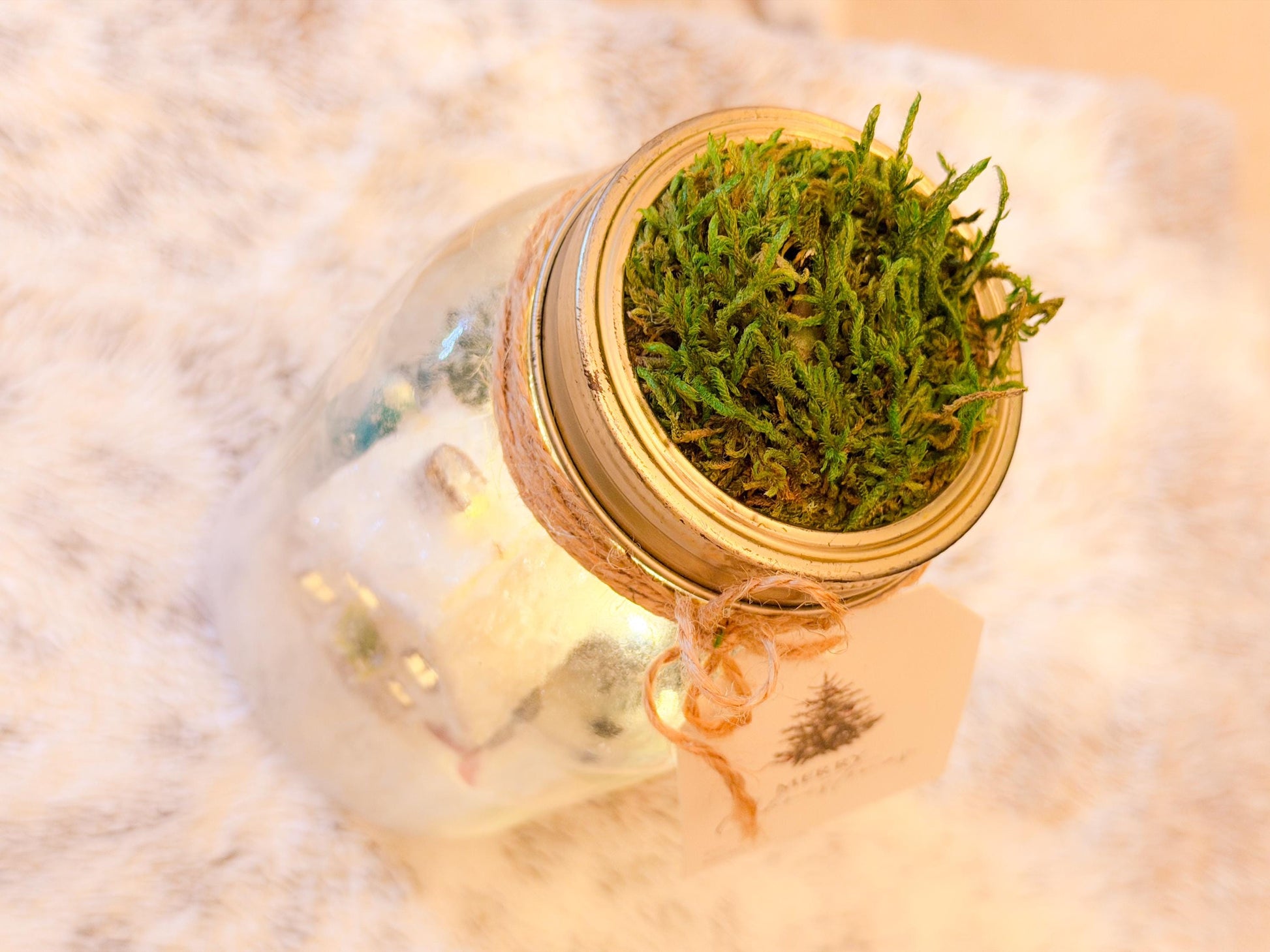 Christmas Mason Jar Light: Winter Wonderland Fairy Lights Christmas Gifts mossartbyrishstudio