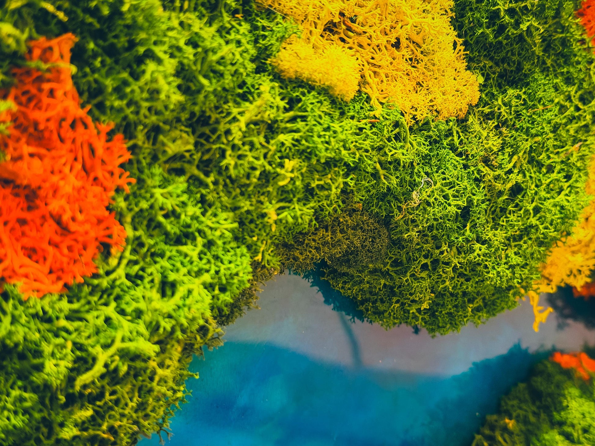 Olive Wood & Blue Resin Moss Wall Art: Handmade 3D Preserved Moss Decor, Eco-Friendly Custom Moss Panel mossartbyrishstudio