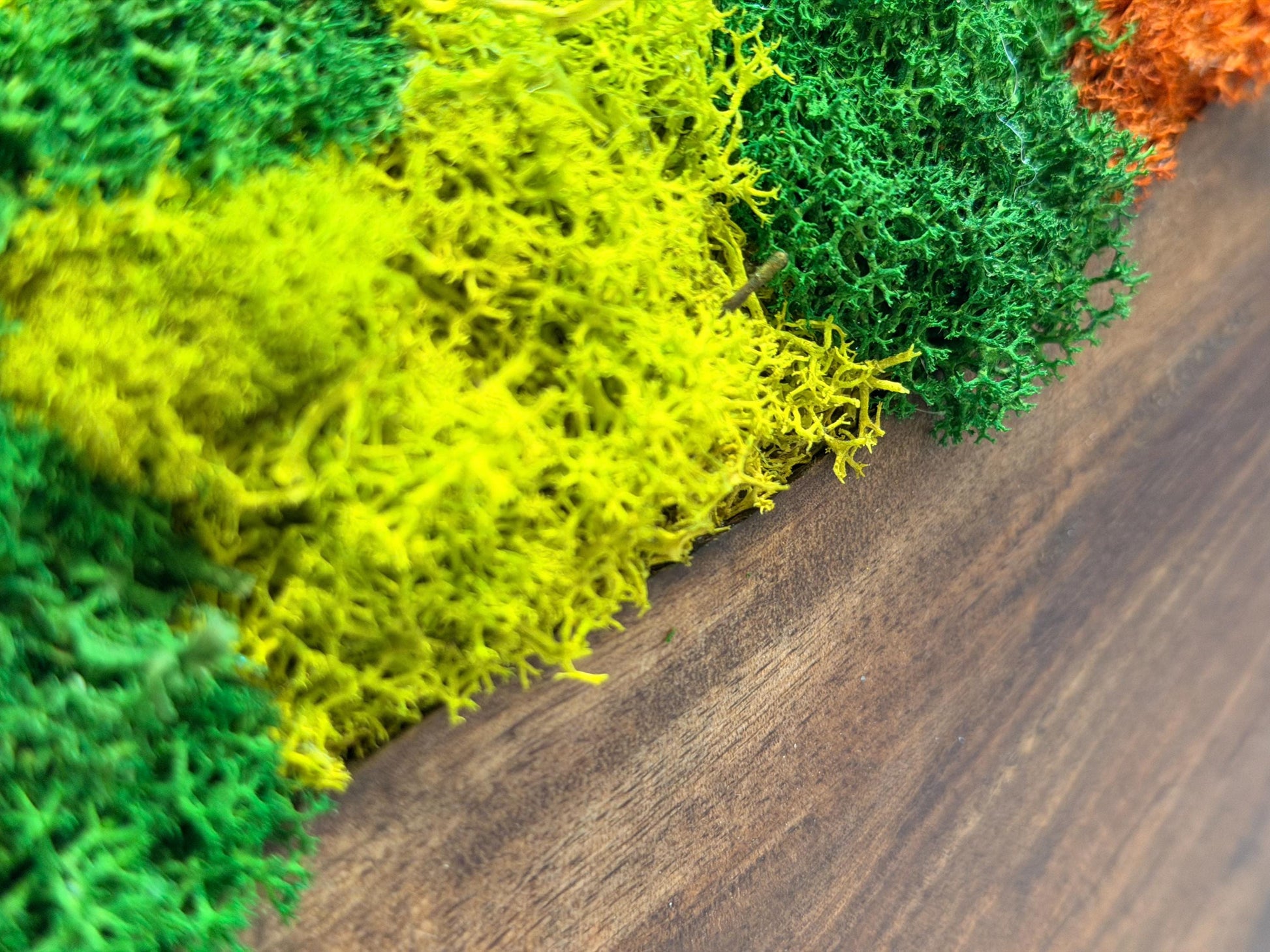 Olive Wood & Blue Resin Moss Wall Art: Handmade 3D Preserved Moss Decor, Eco-Friendly Custom Moss Panel mossartbyrishstudio