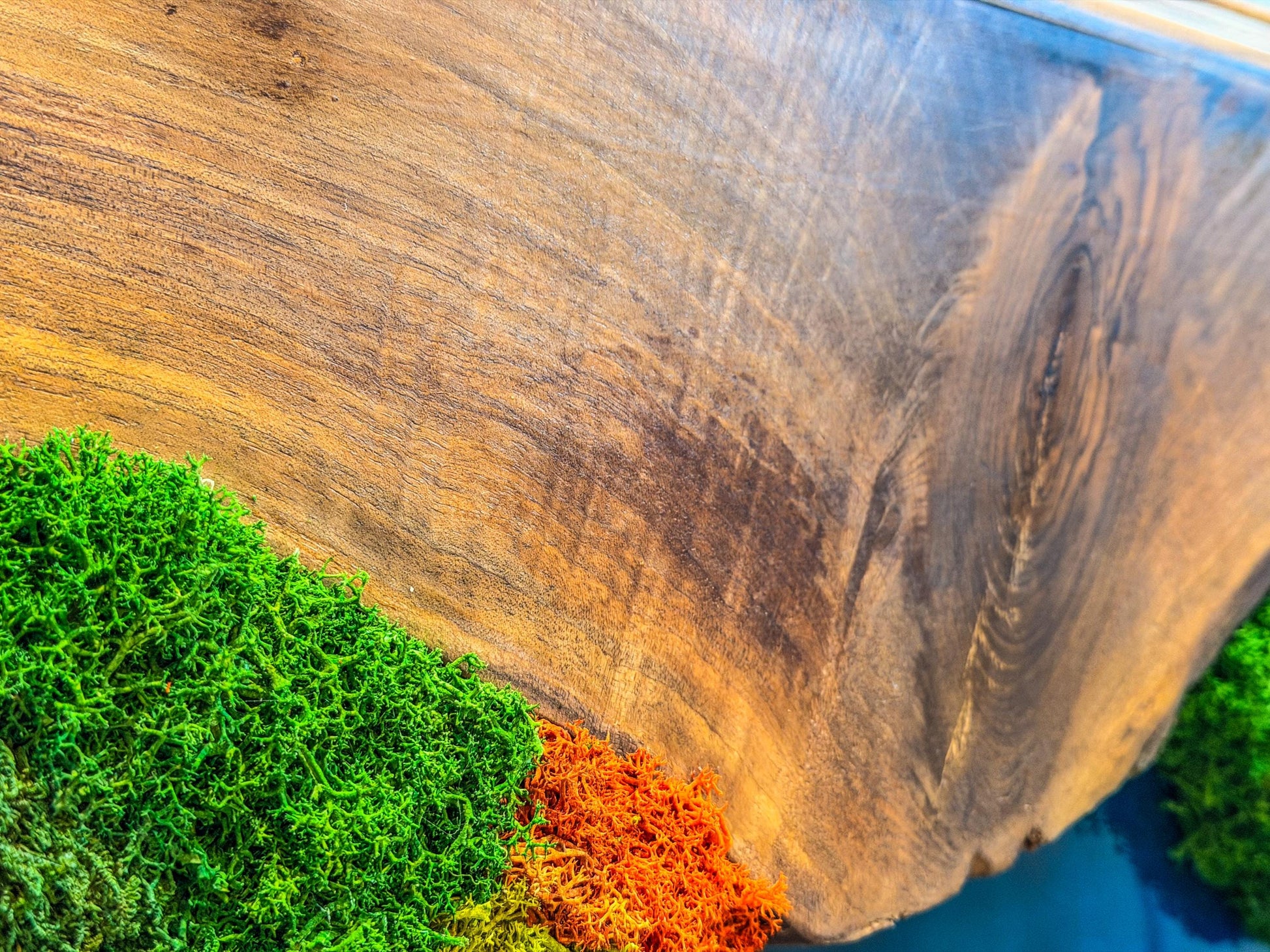 Olive Wood & Blue Resin Moss Wall Art: Handmade 3D Preserved Moss Decor, Eco-Friendly Custom Moss Panel mossartbyrishstudio