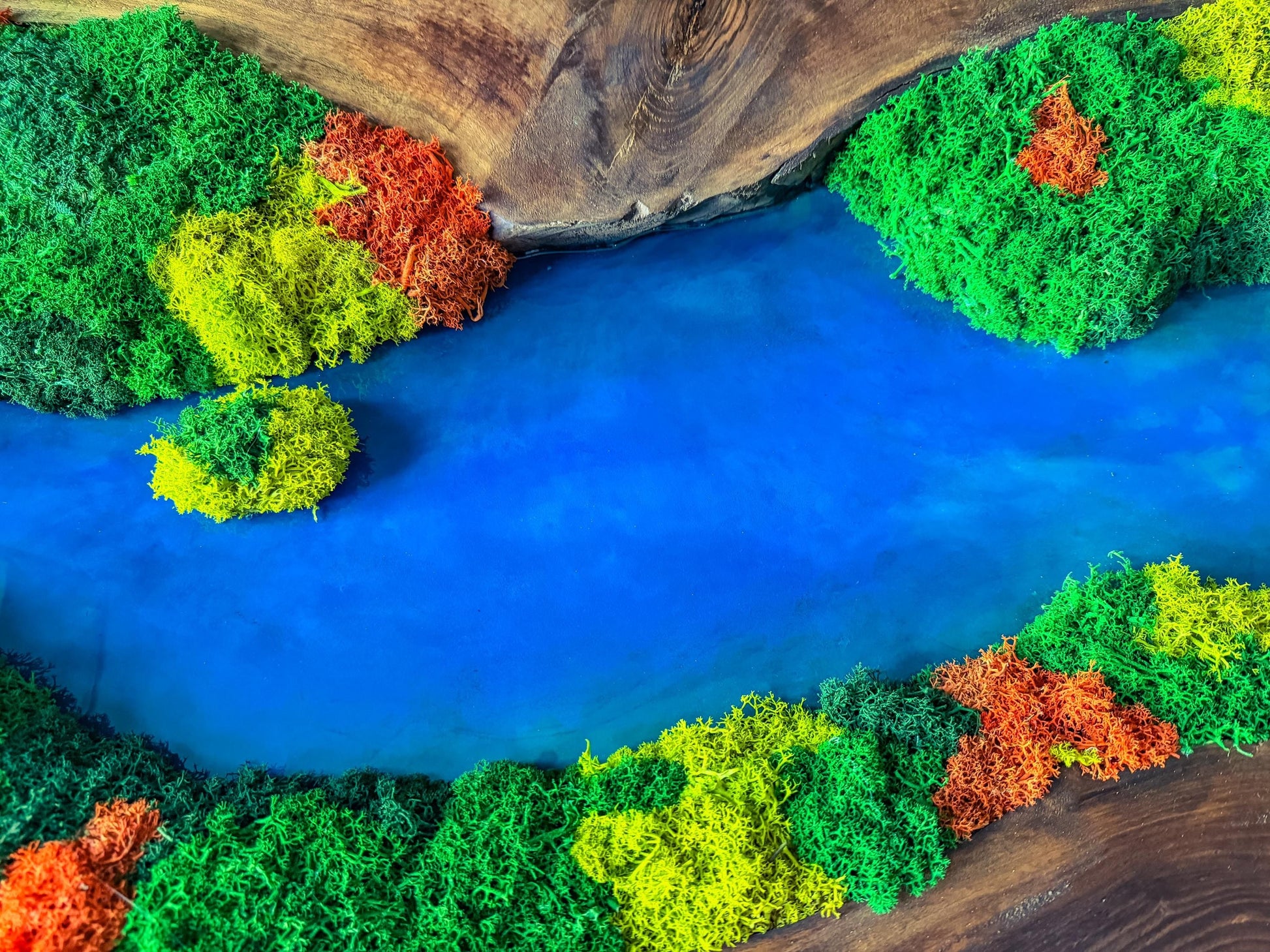 Olive Wood & Blue Resin Moss Wall Art: Handmade 3D Preserved Moss Decor, Eco-Friendly Custom Moss Panel mossartbyrishstudio