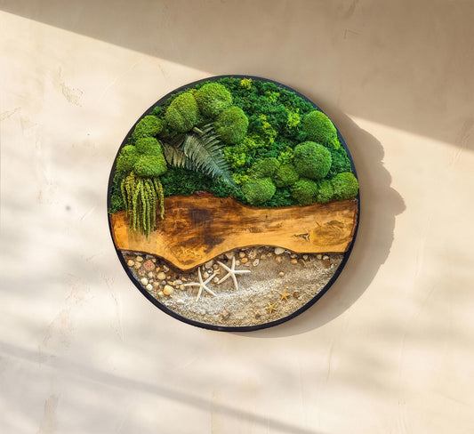 Circular Preserved Moss and Wood Wall Art with Seashells, Real plant wall decor, mossartbyrishstudio