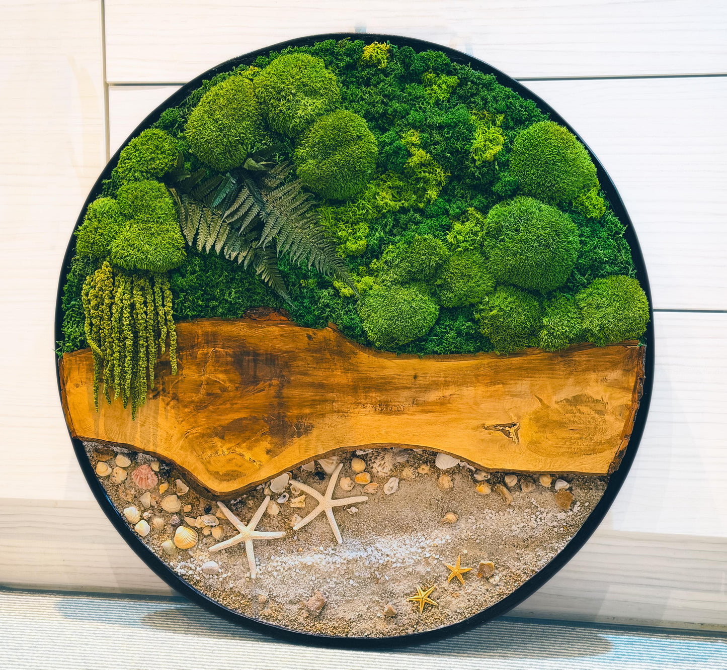 Circular Preserved Moss and Wood Wall Art with Seashells, Real plant wall decor, mossartbyrishstudio